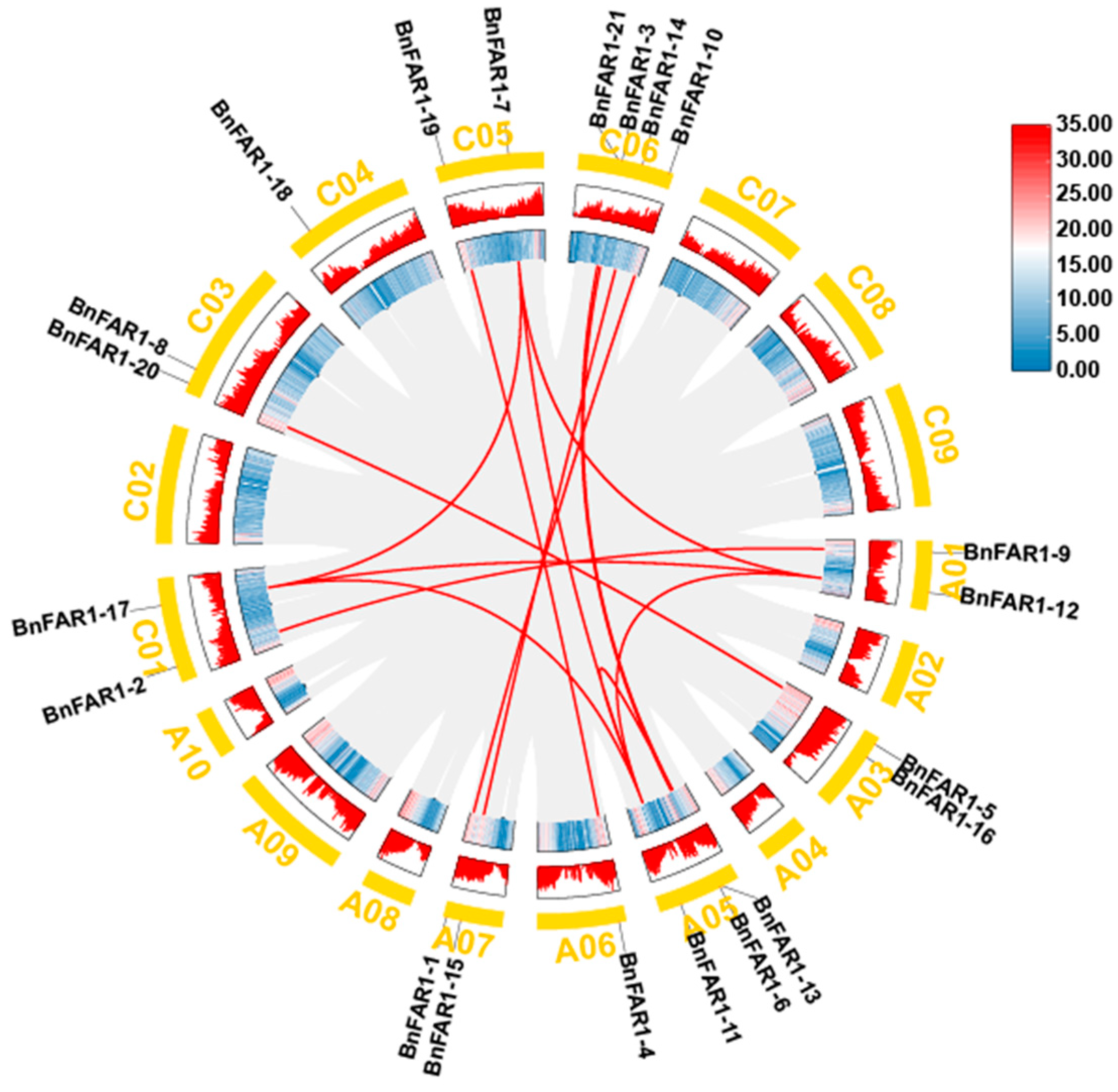 Agronomy 14 00202 g005