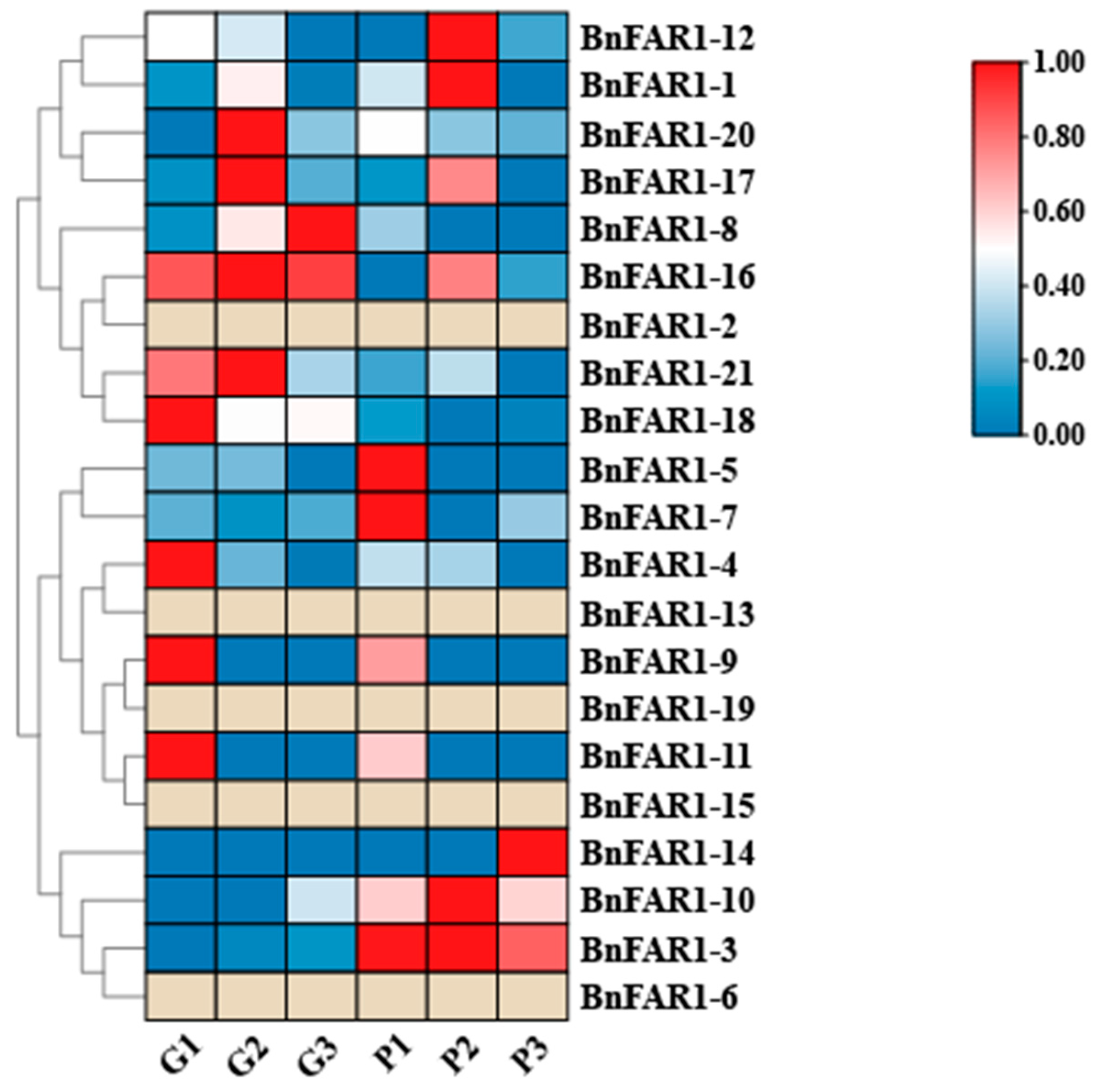 Agronomy 14 00202 g007