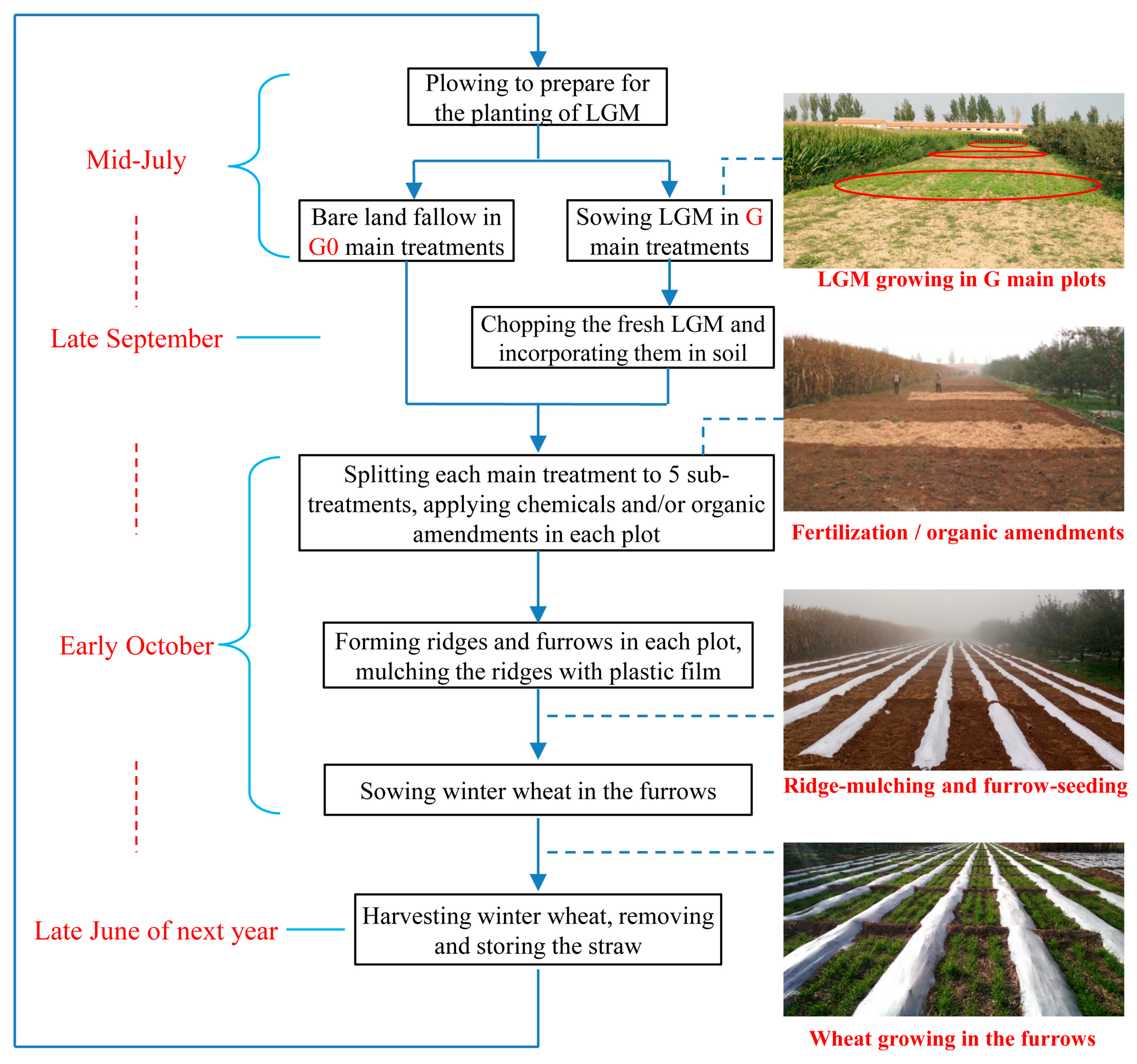 Agronomy 14 00203 g001