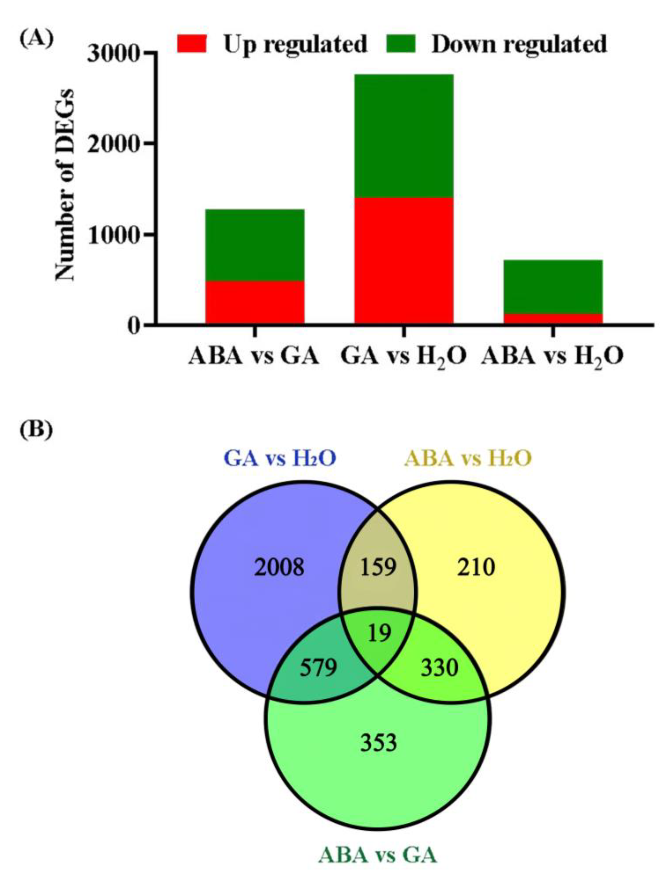 Agronomy 14 00212 g002