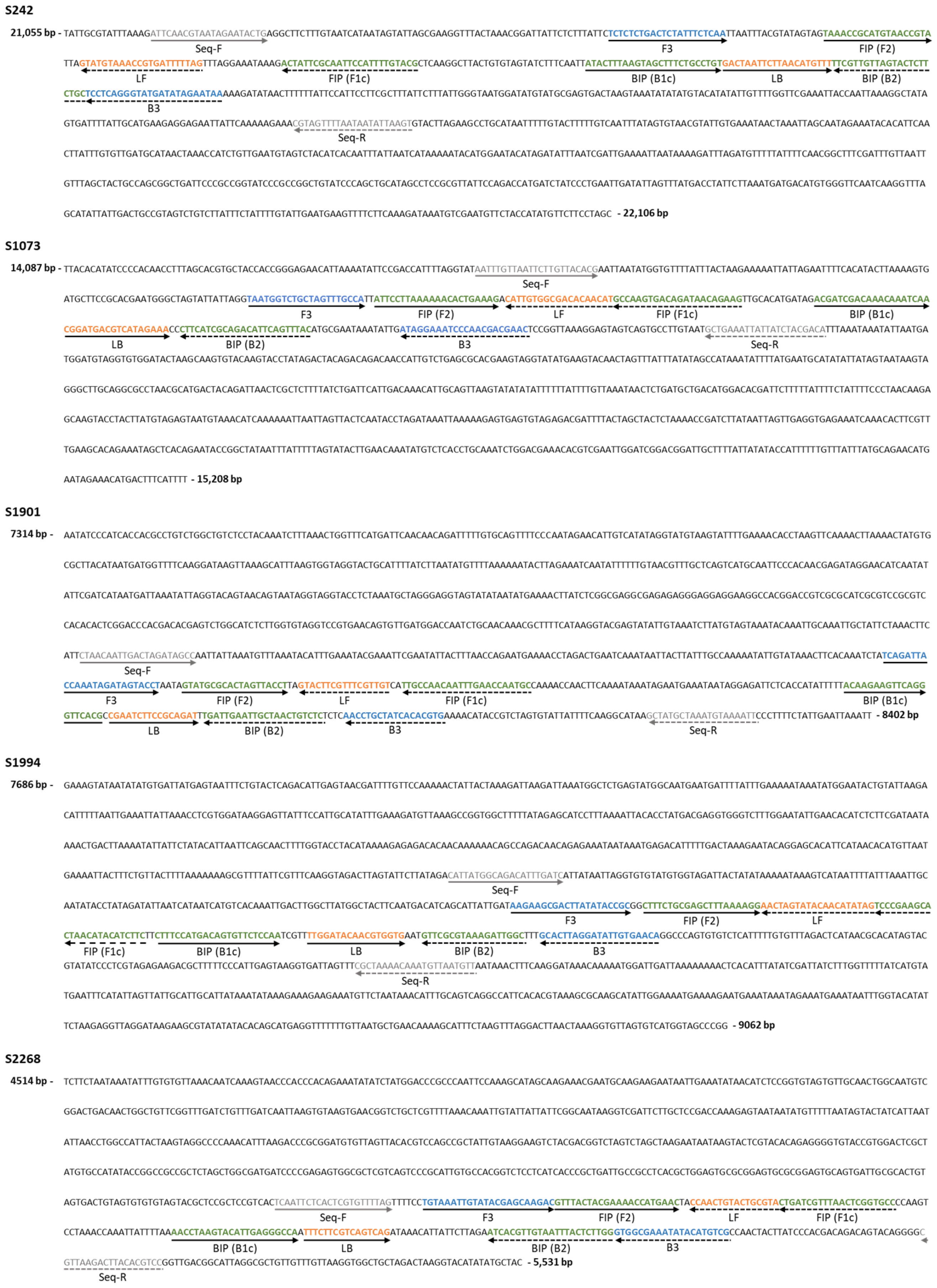 Agronomy 14 00219 g001