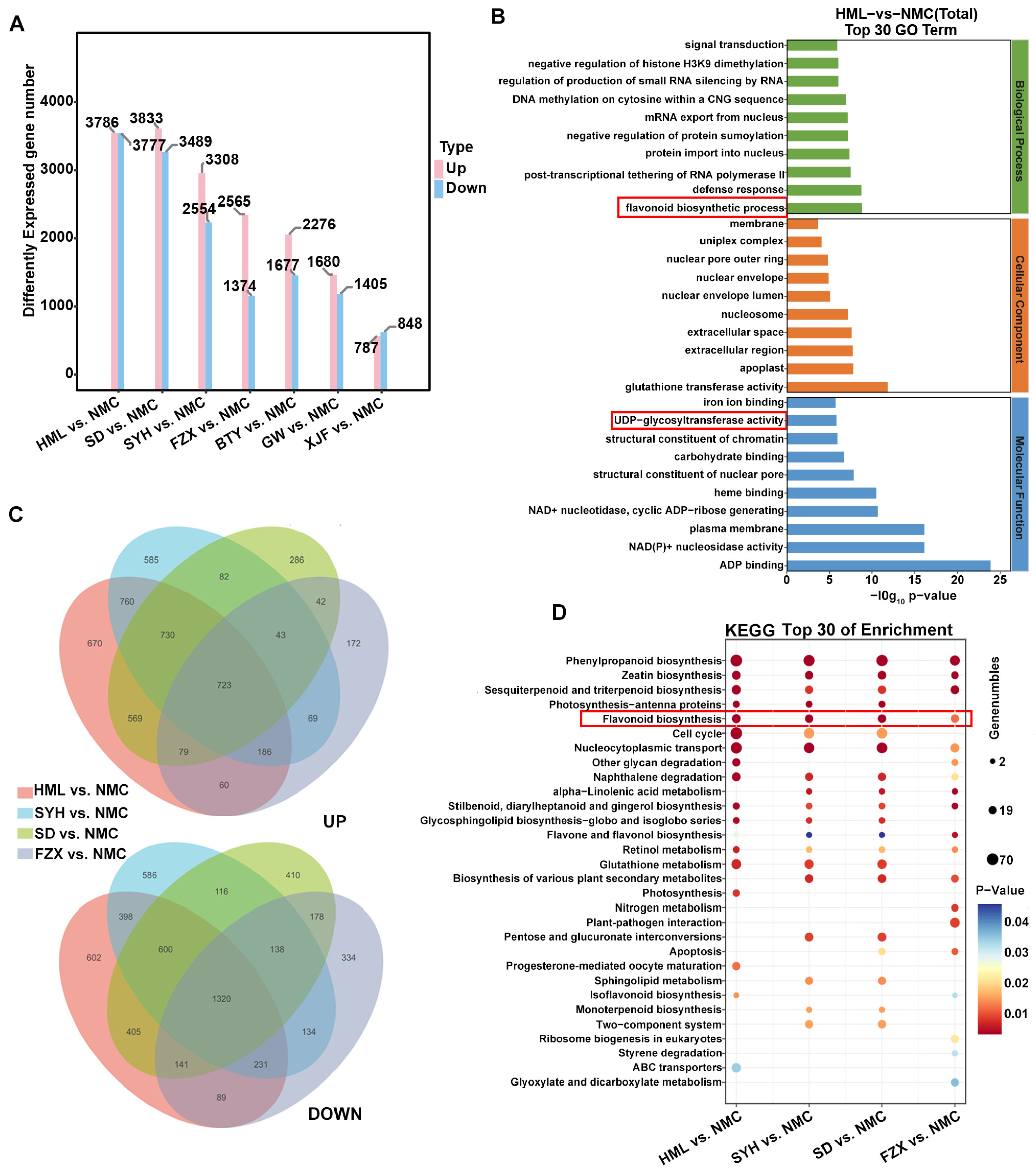 Agronomy 14 00221 g005