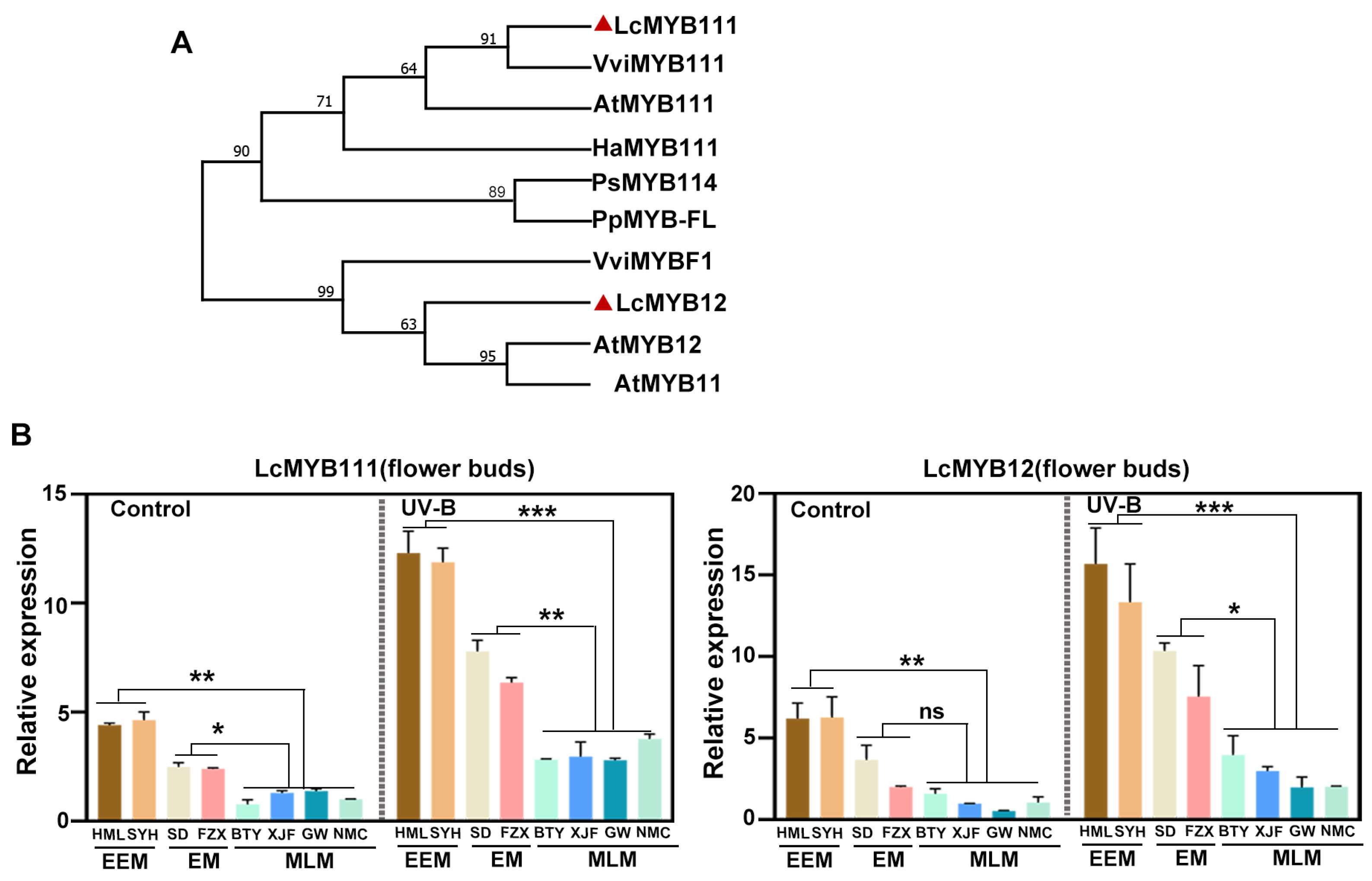 Agronomy 14 00221 g007