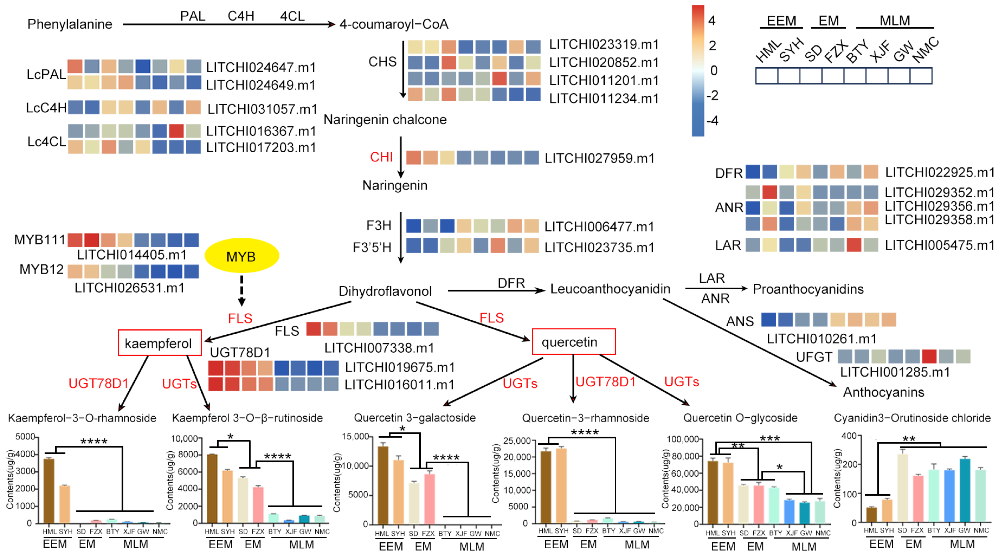Agronomy 14 00221 g008