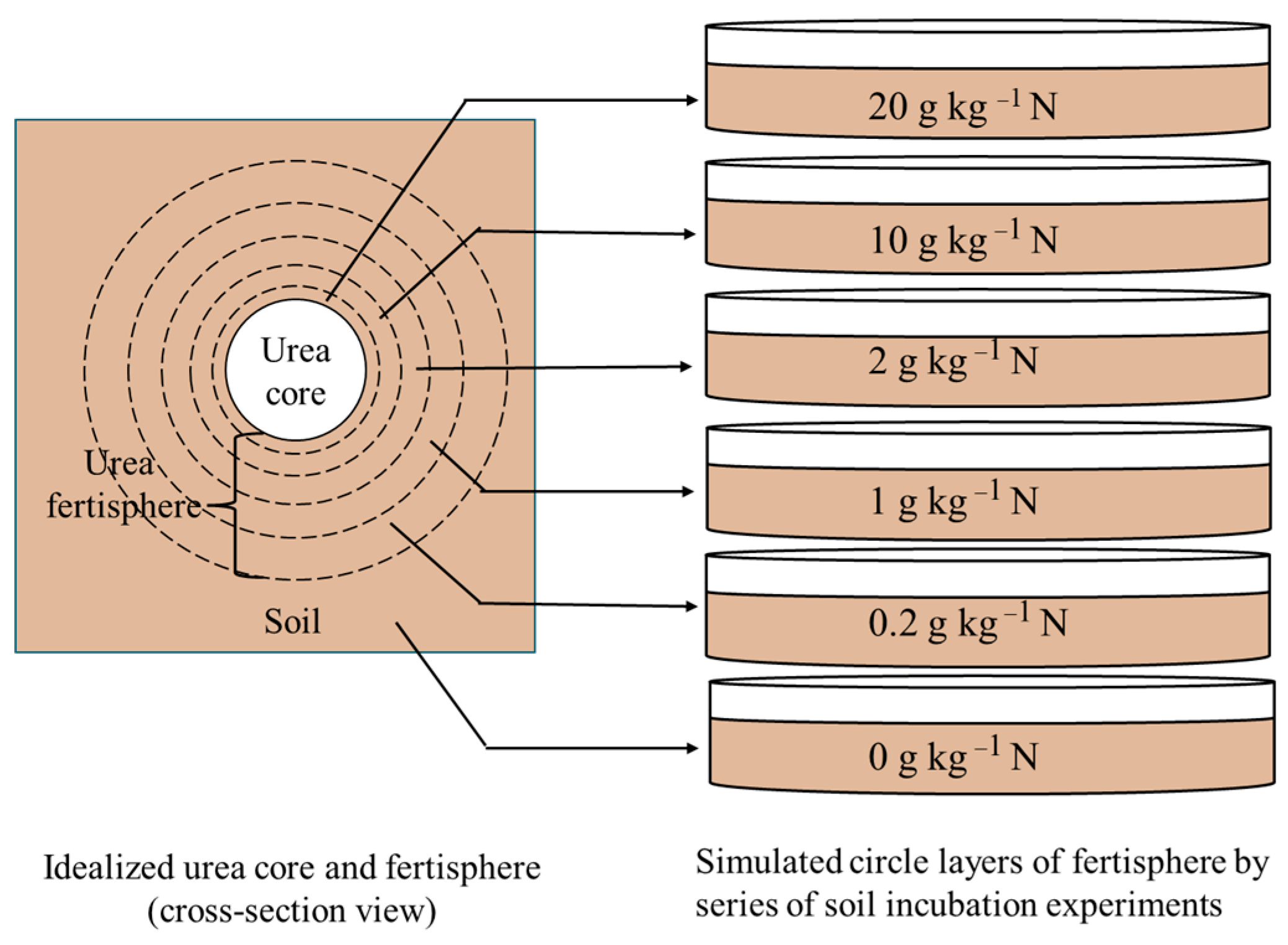 Agronomy 14 00223 g001