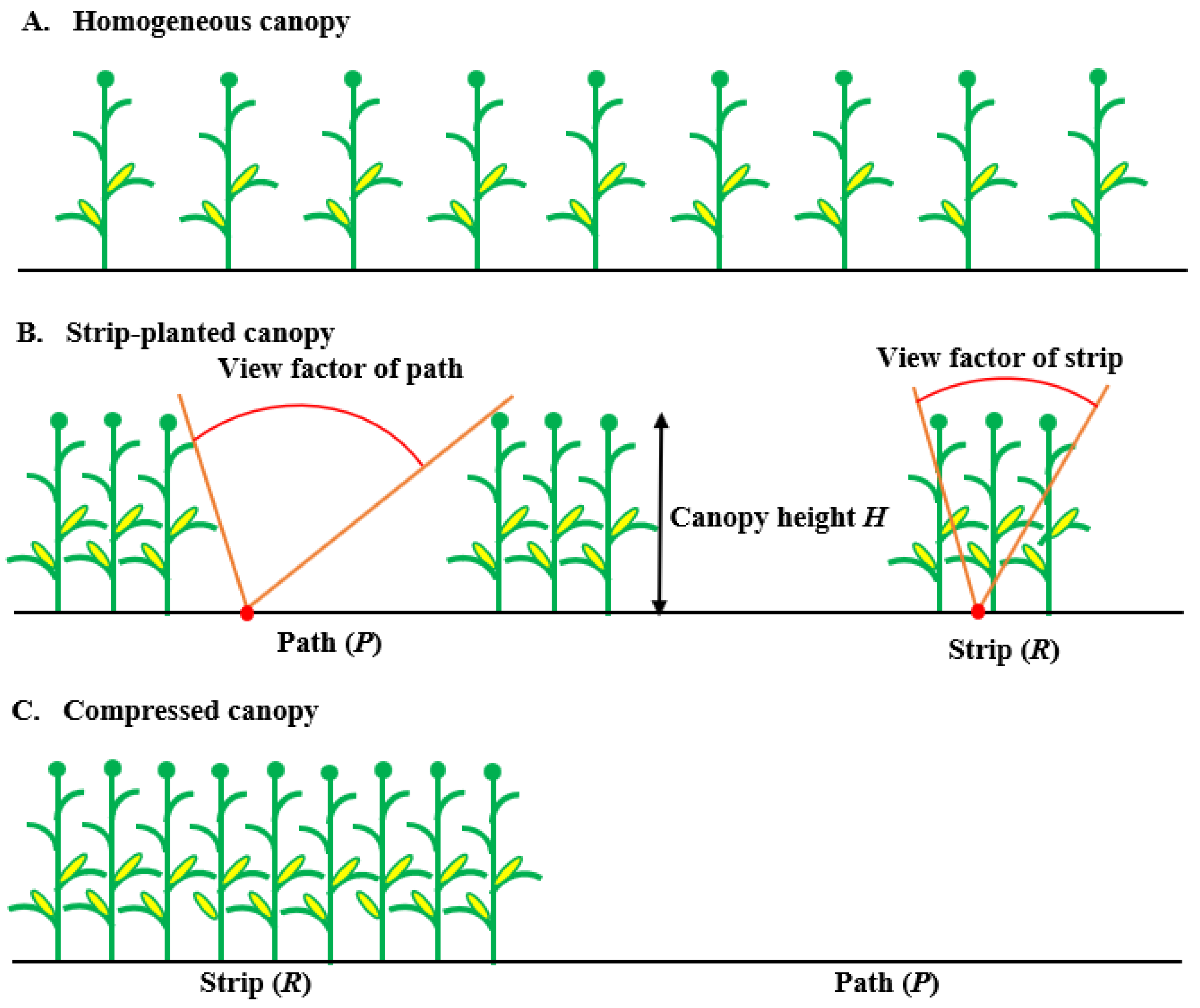 Agronomy 14 00227 g001 Agronomy 14 00227 g001