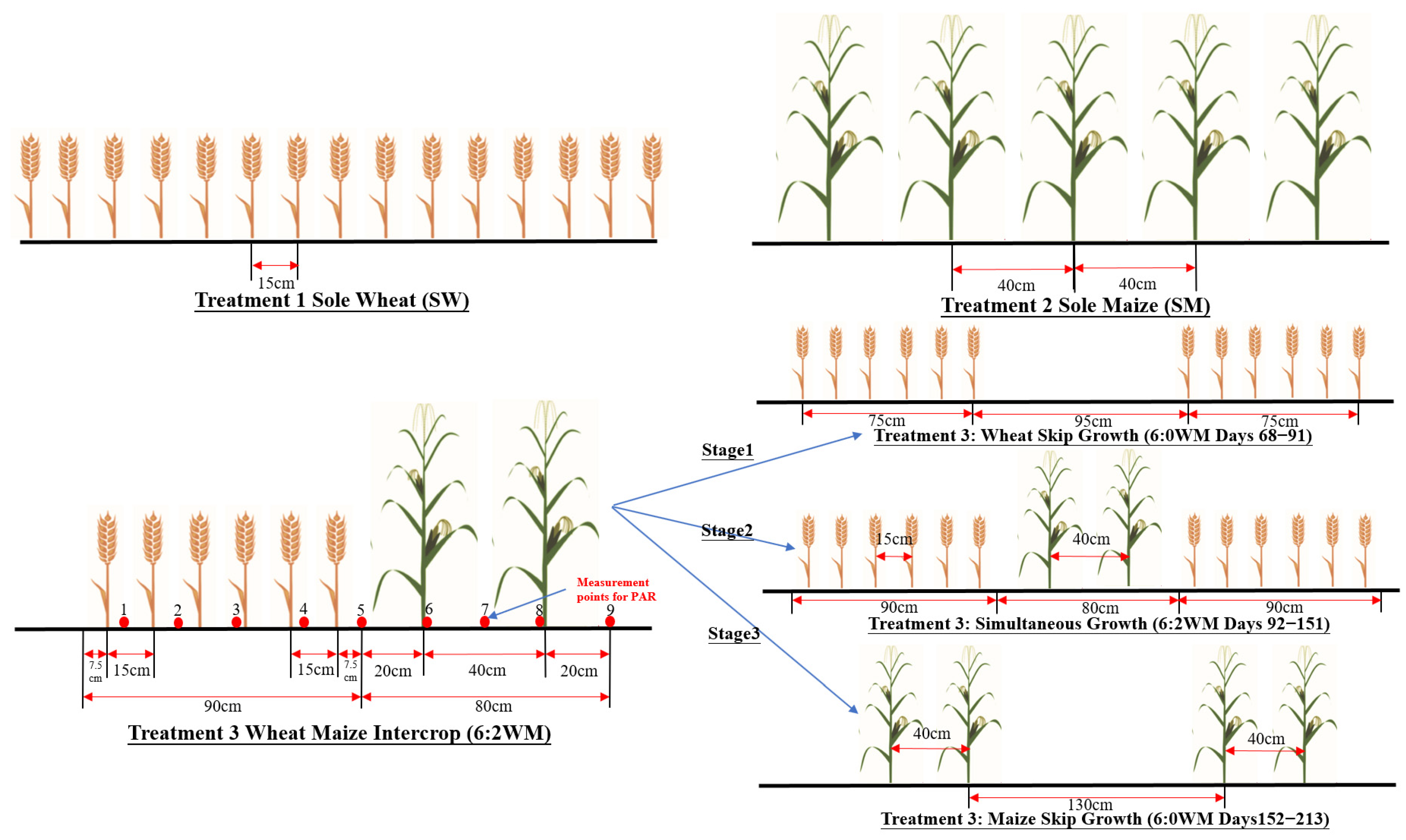 Agronomy 14 00227 g003 Agronomy 14 00227 g003