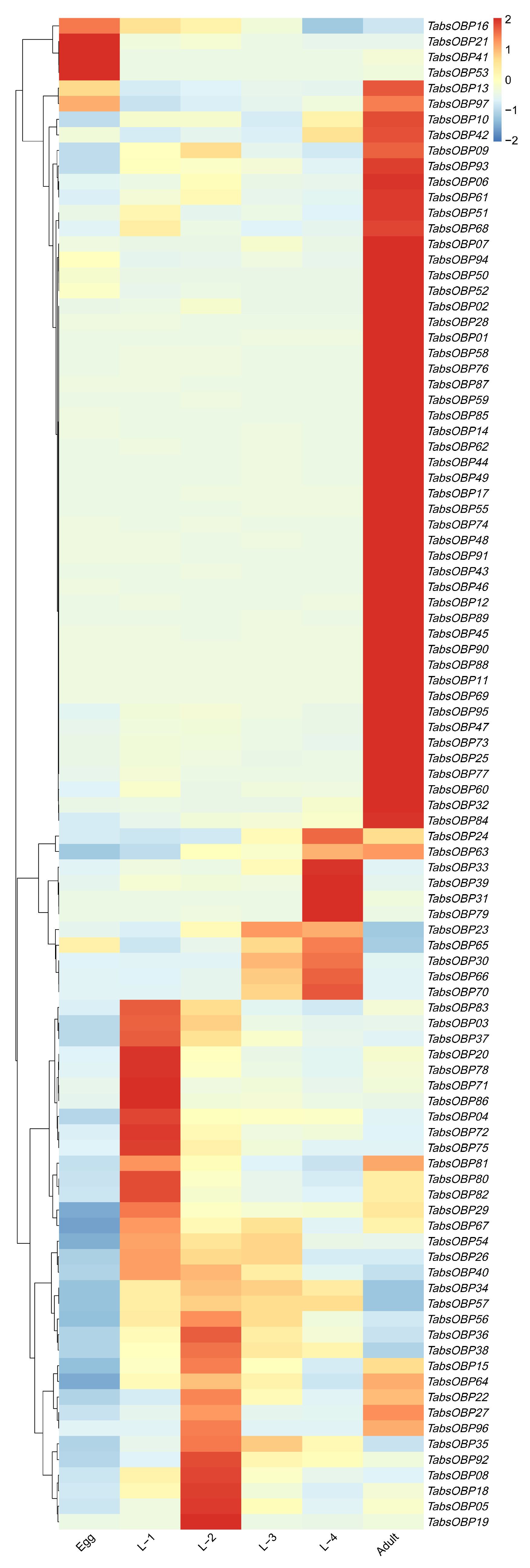 Agronomy 14 00231 g003