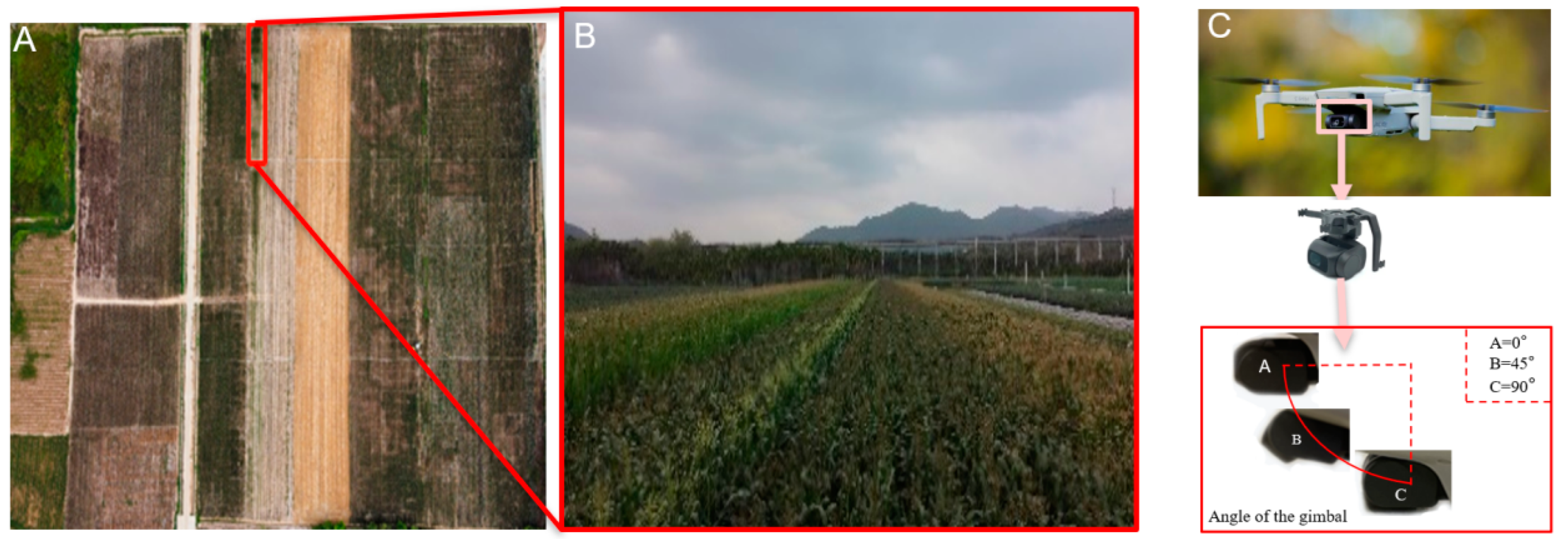 Agronomy 14 00241 g001