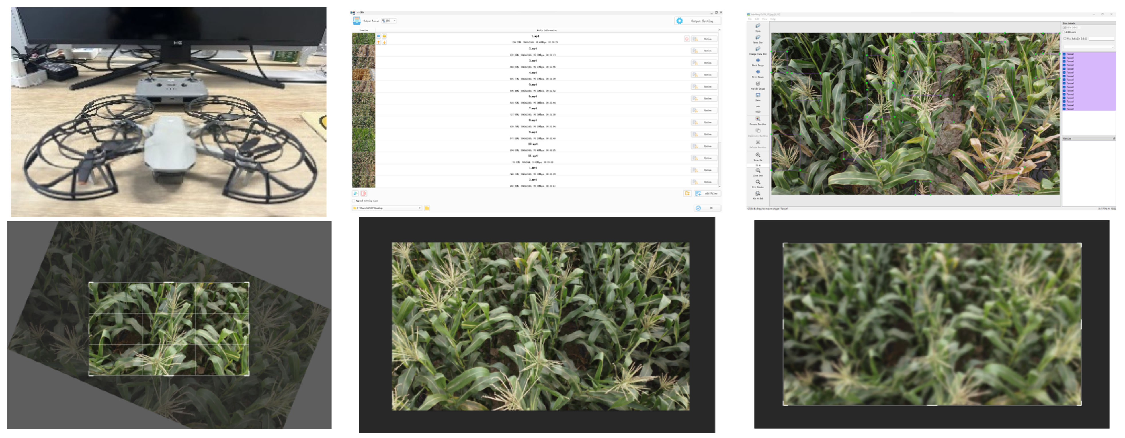 Agronomy 14 00241 g002