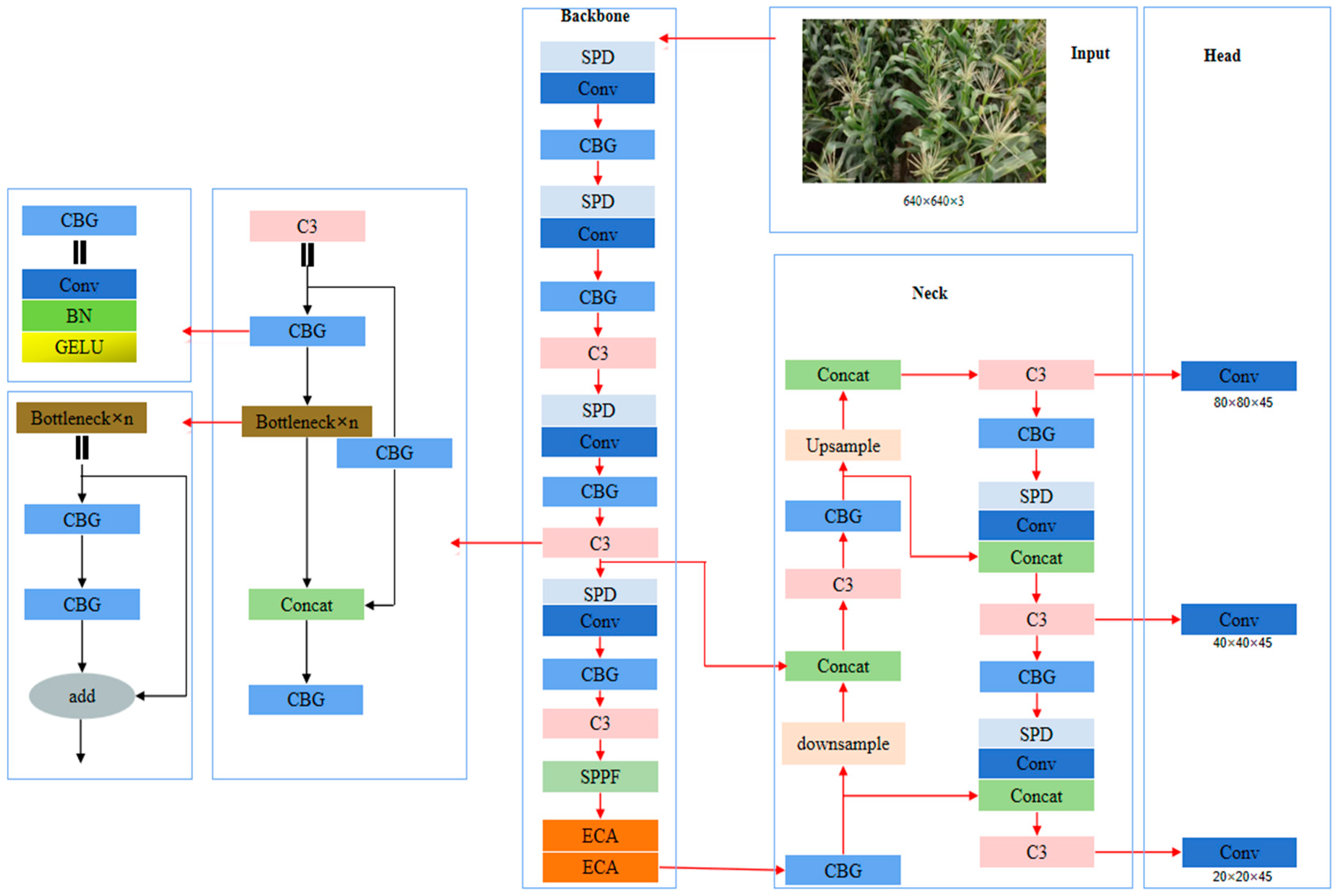 Agronomy 14 00241 g003