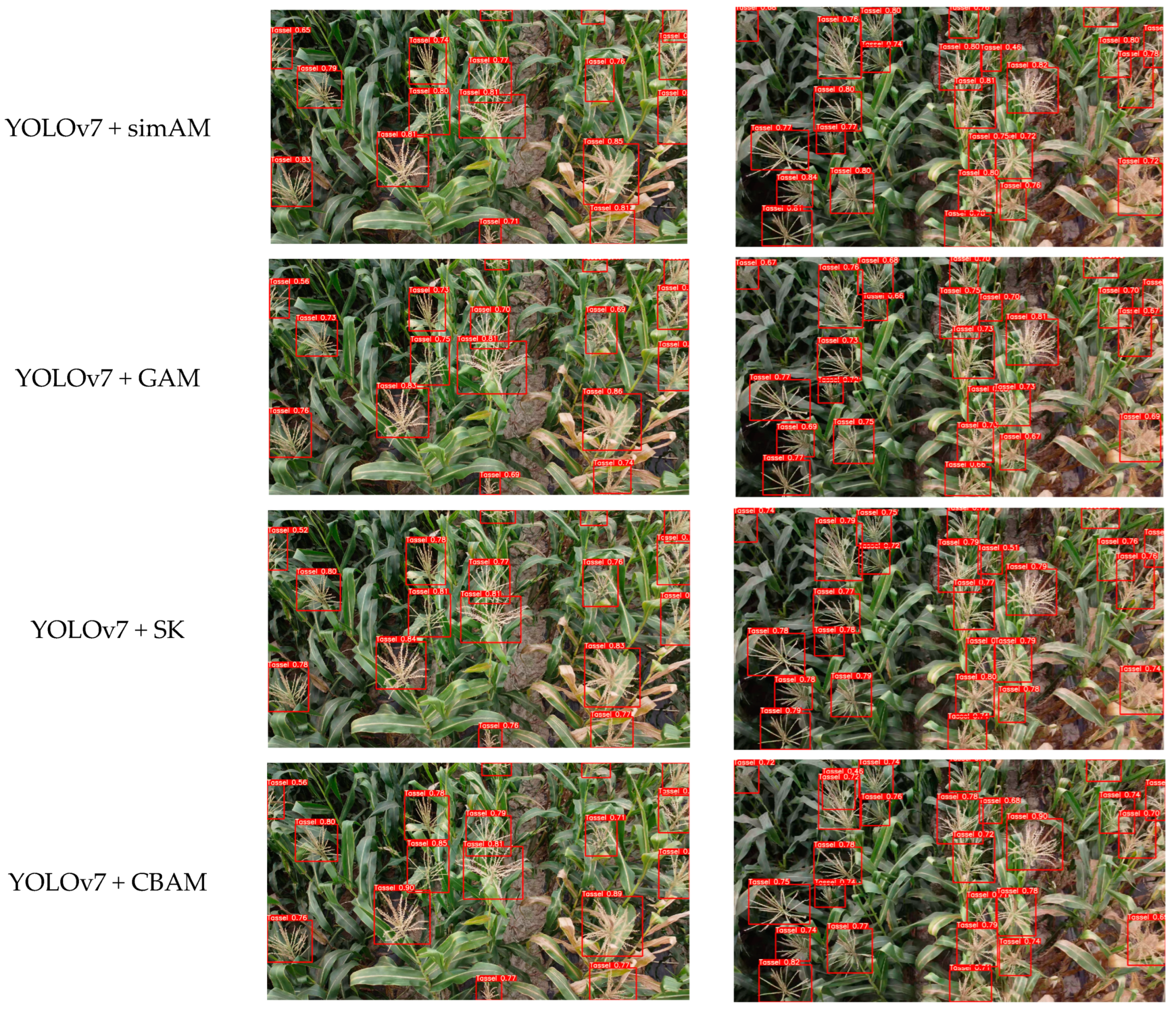 Agronomy 14 00241 g008a