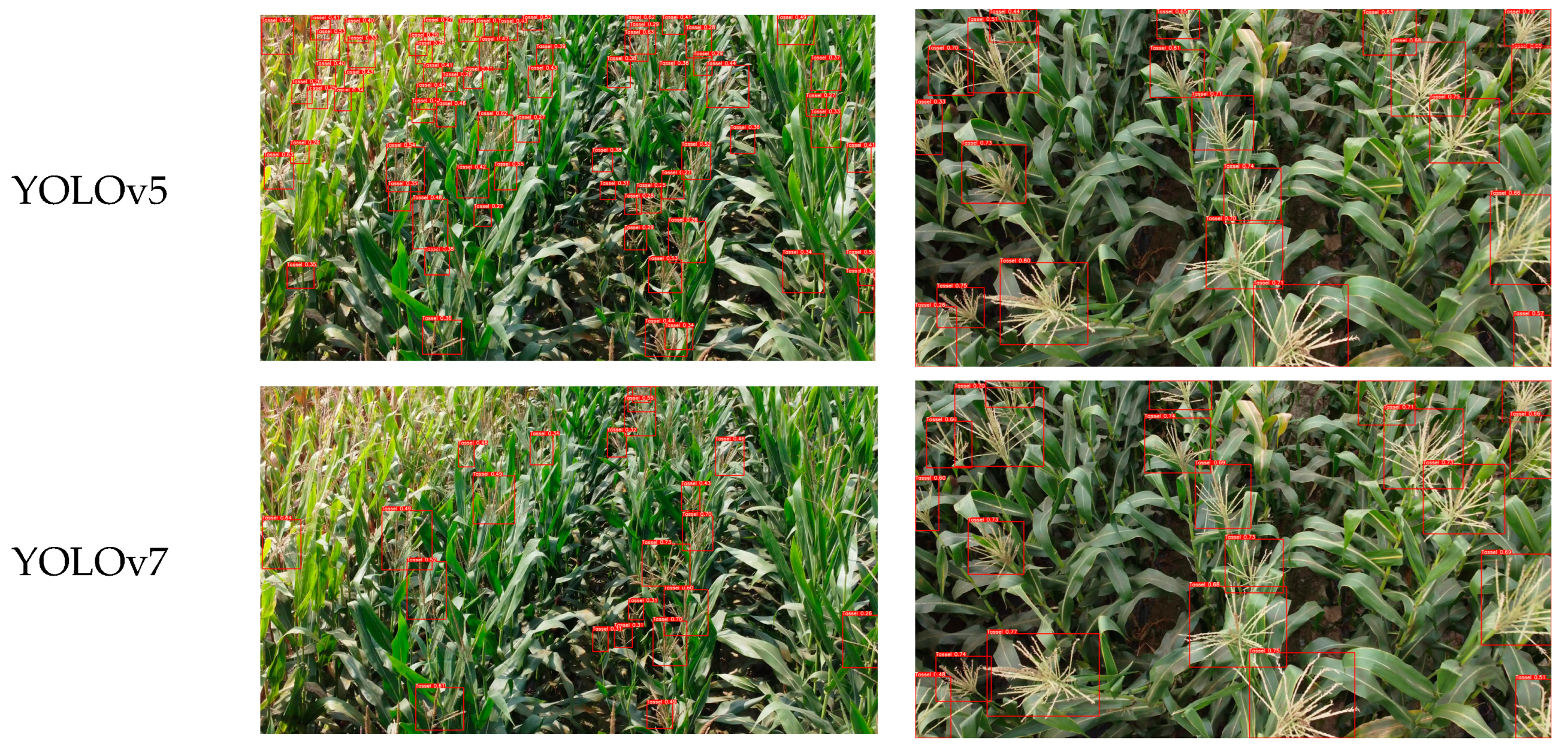 Agronomy 14 00241 g009a