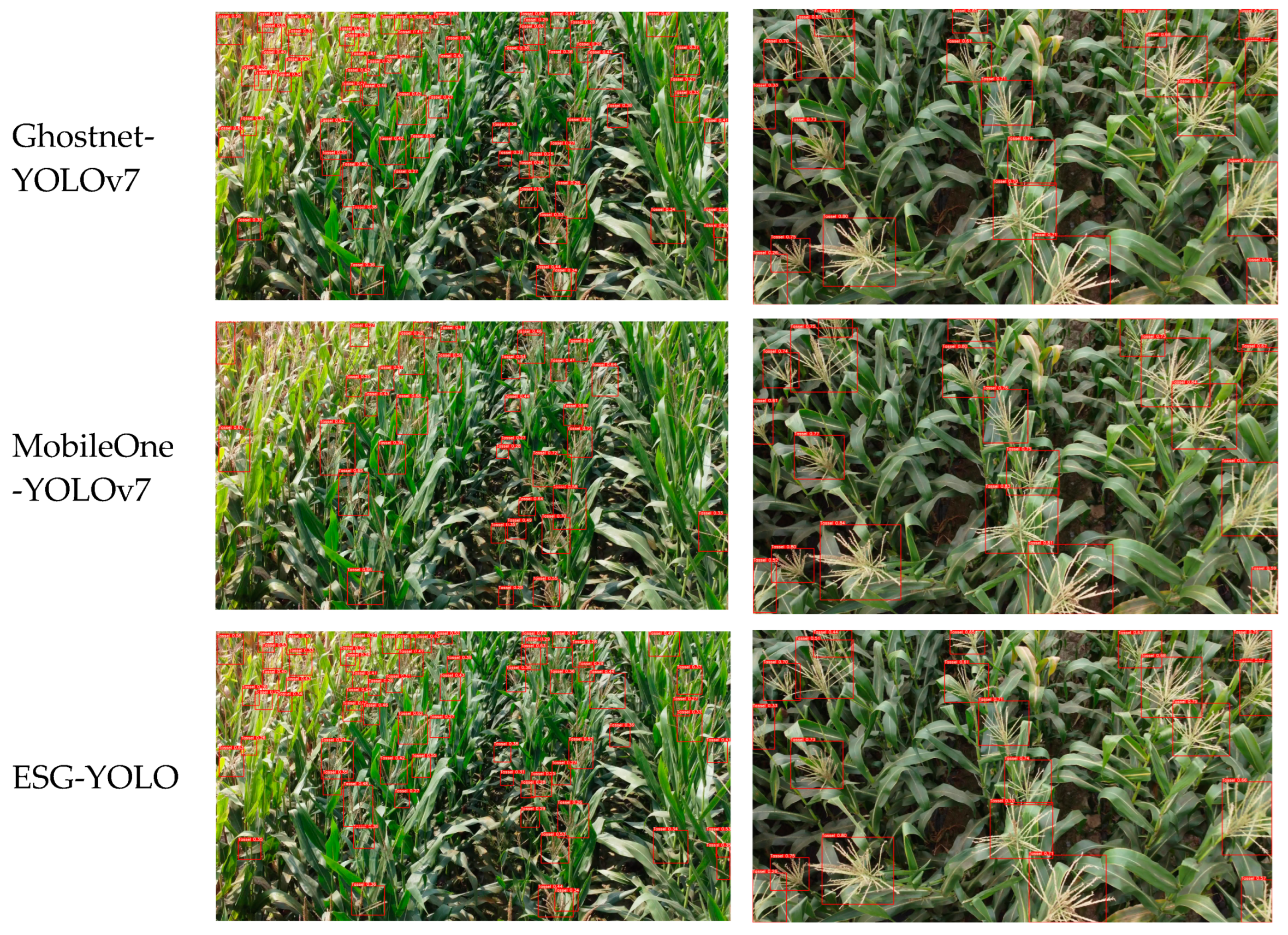 Agronomy 14 00241 g009b