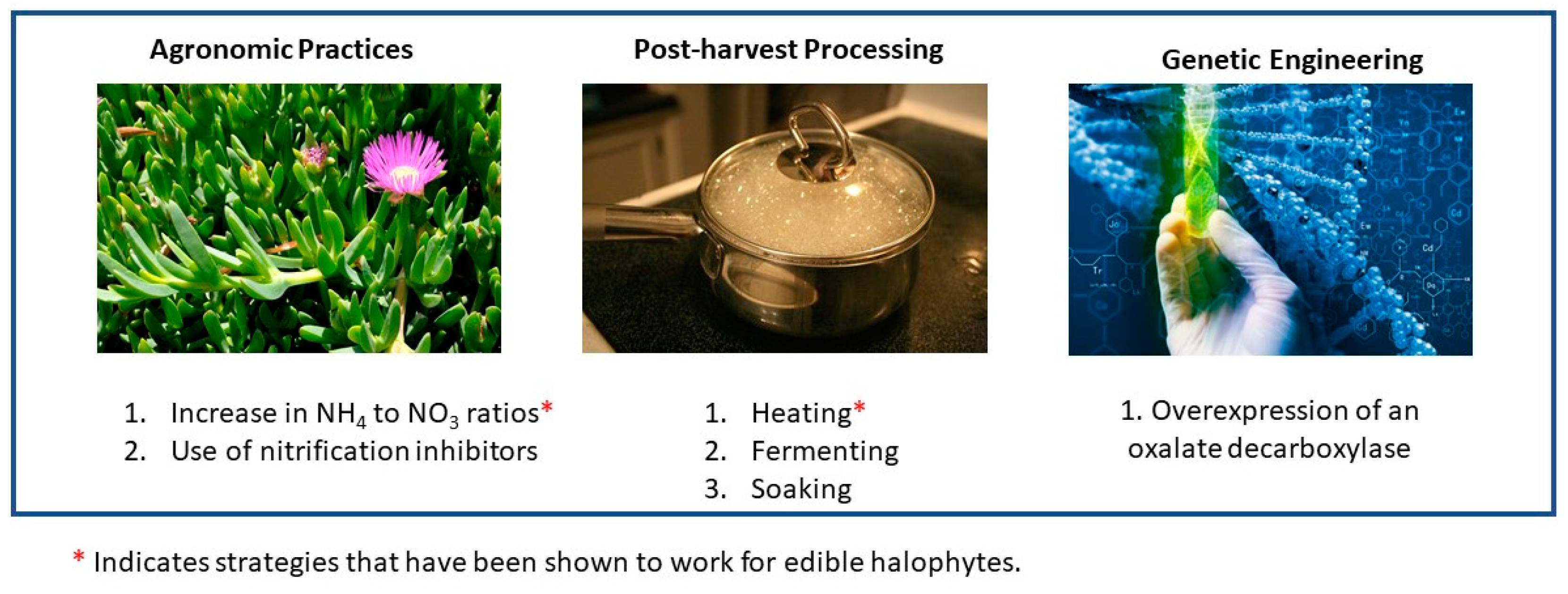 Agronomy 14 00242 g001