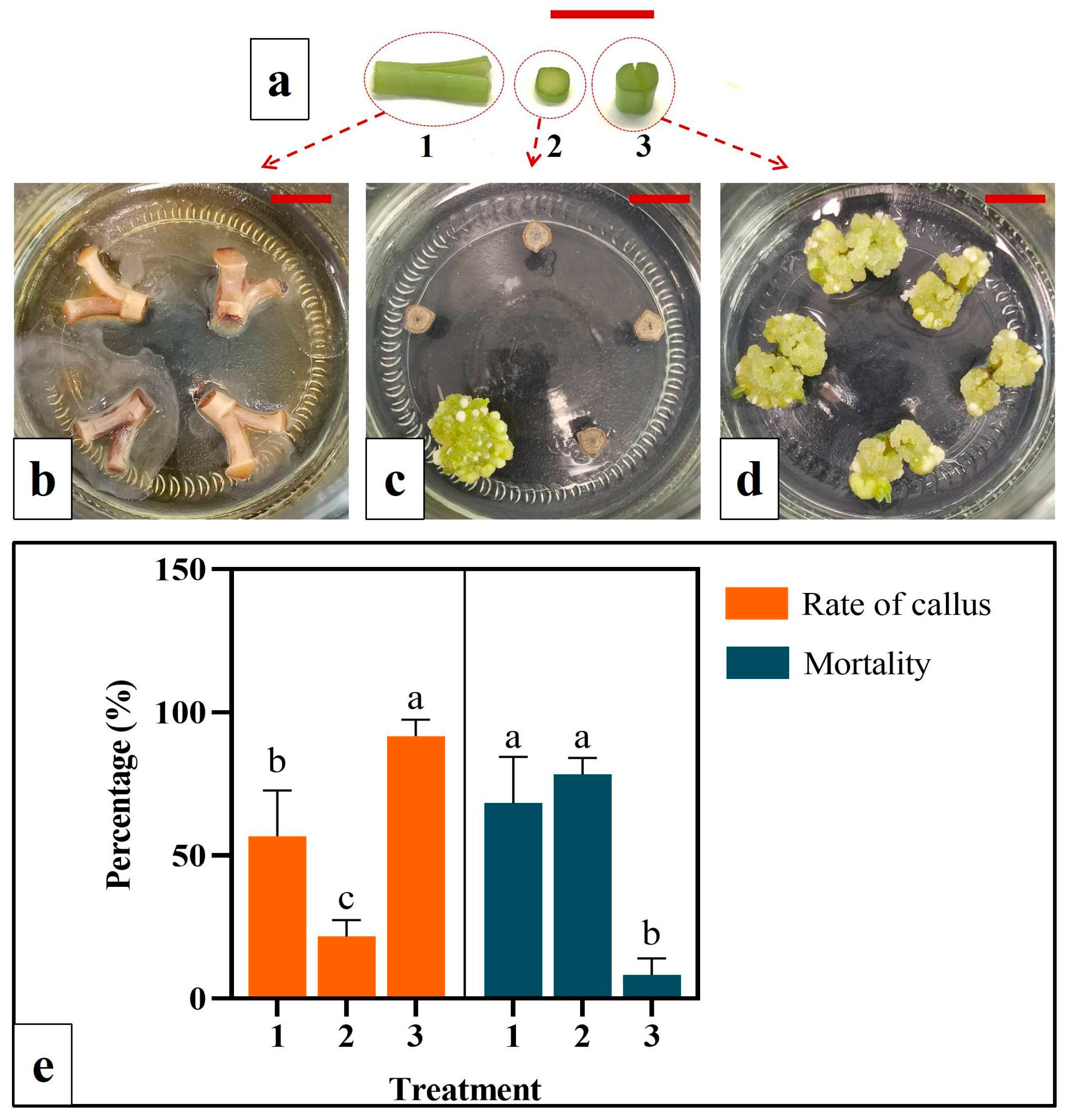 Agronomy 14 00244 g004