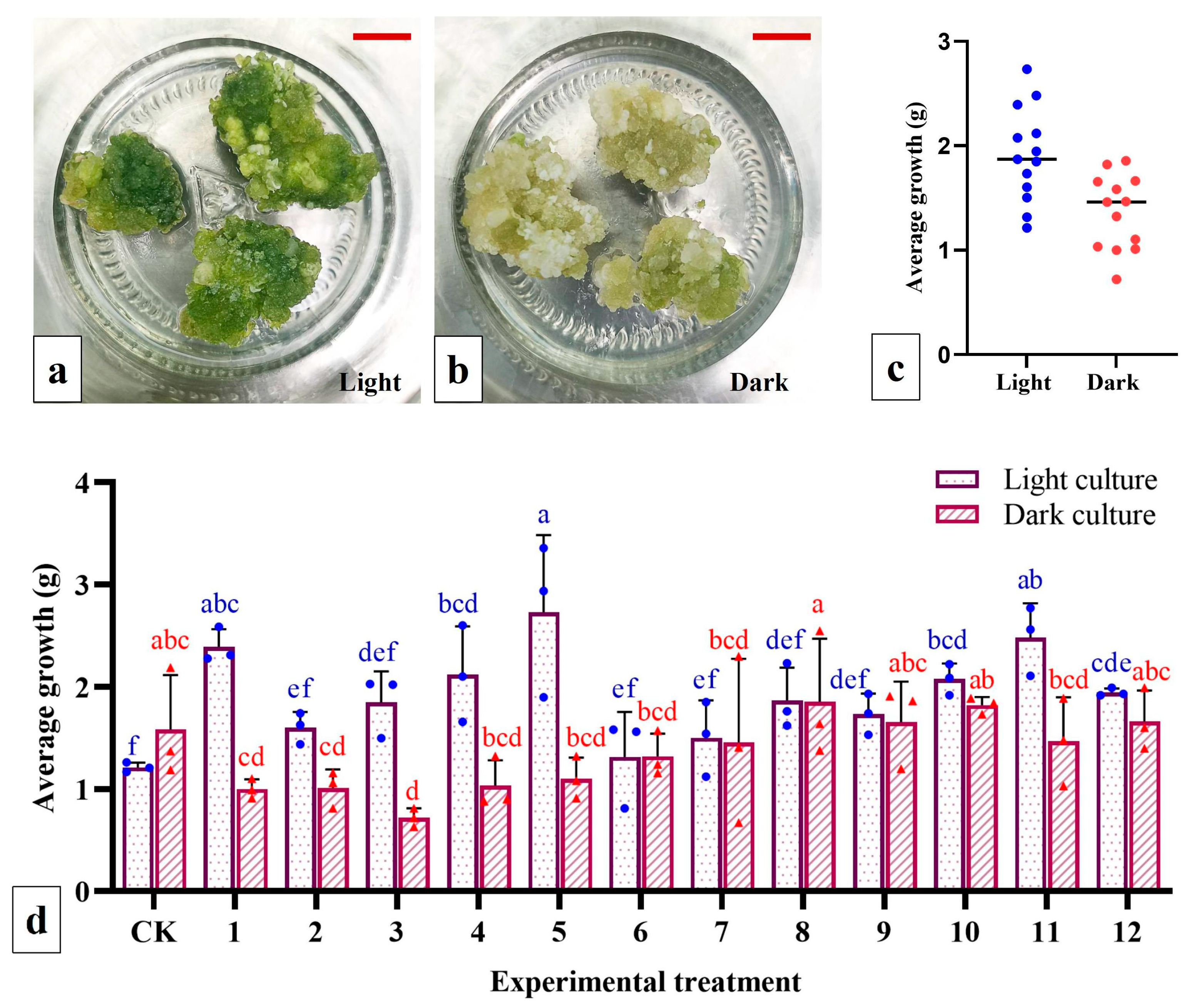 Agronomy 14 00244 g007