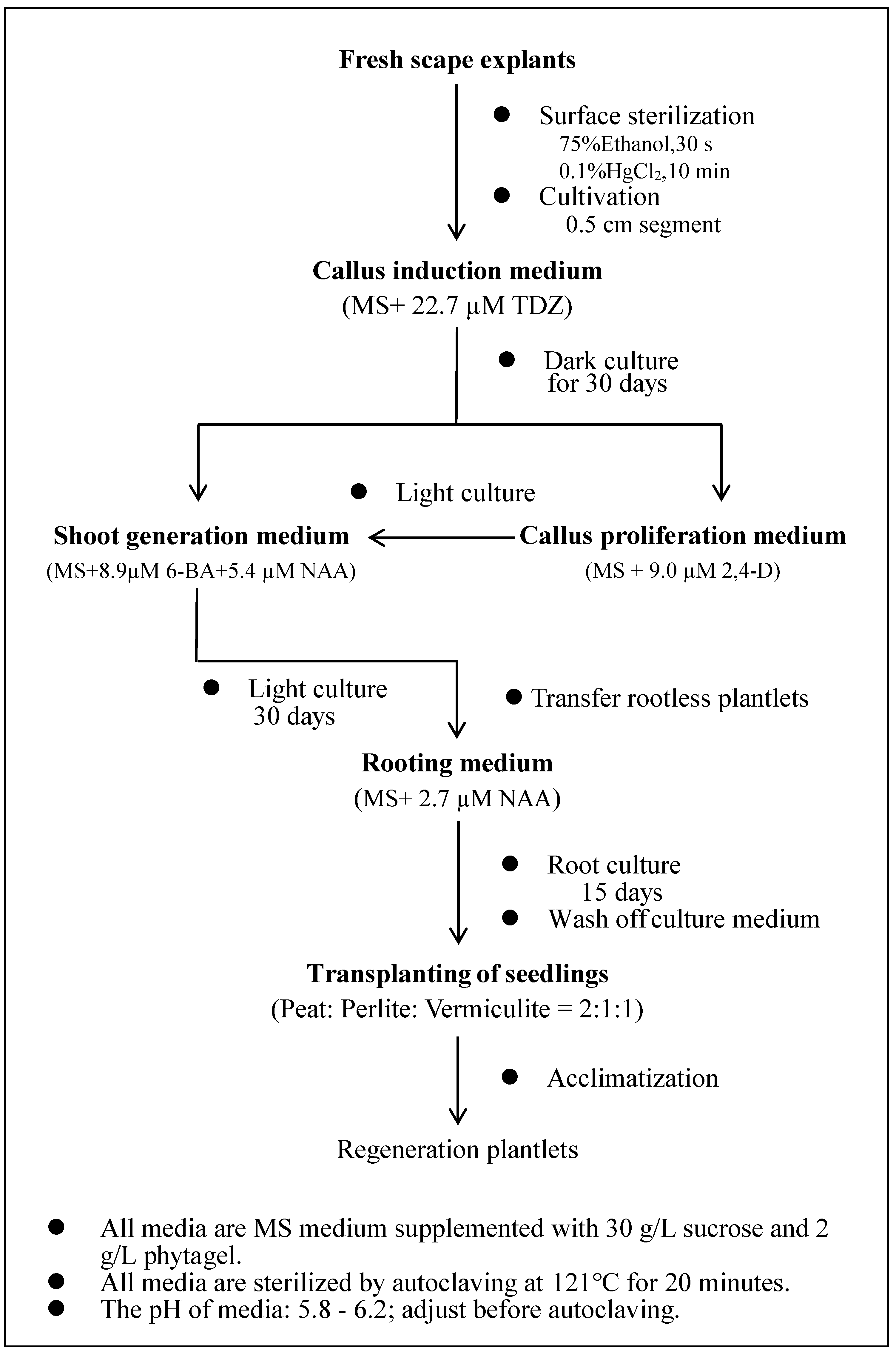 Agronomy 14 00244 g009