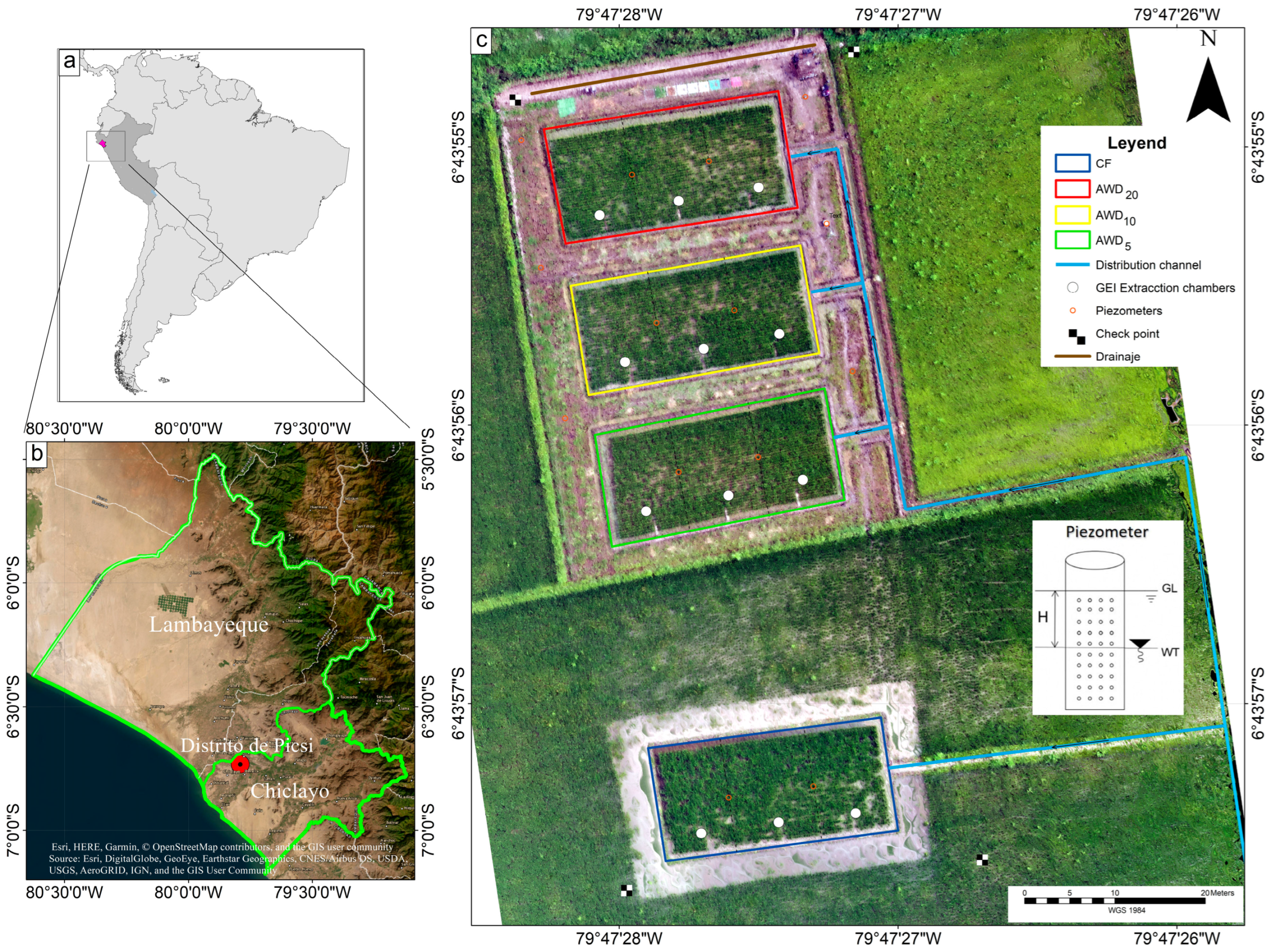 Agronomy 14 00248 g001