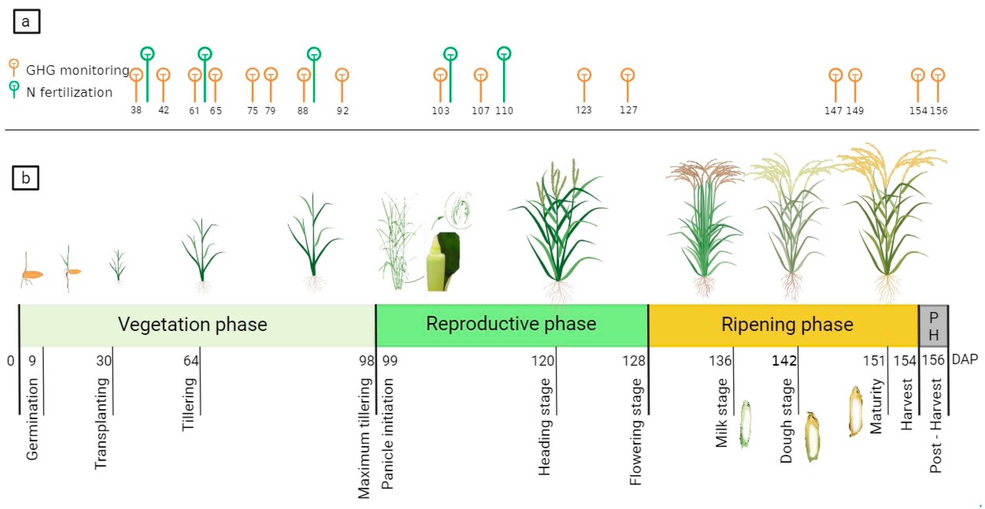 Agronomy 14 00248 g003