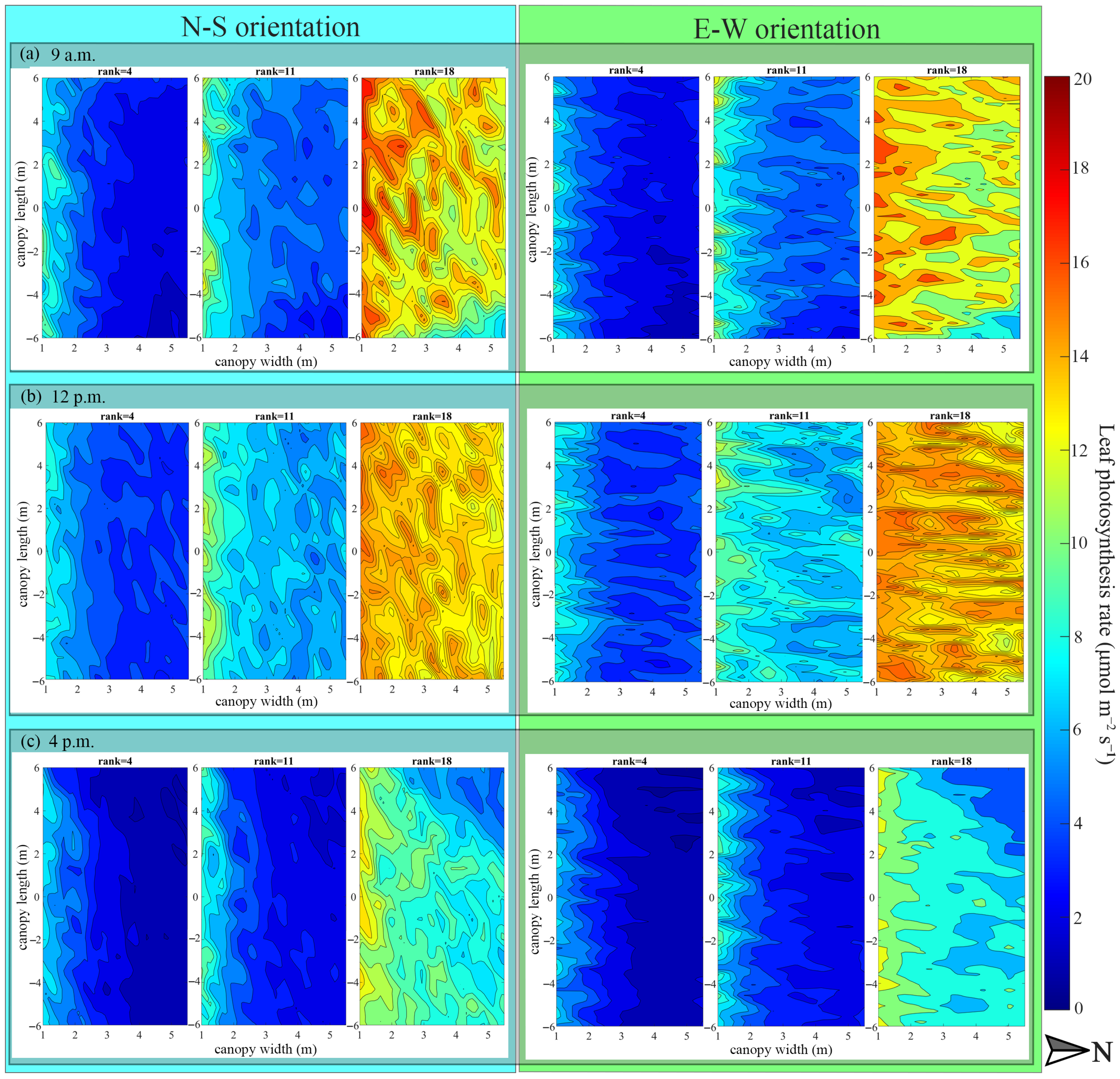 Agronomy 14 00249 g010