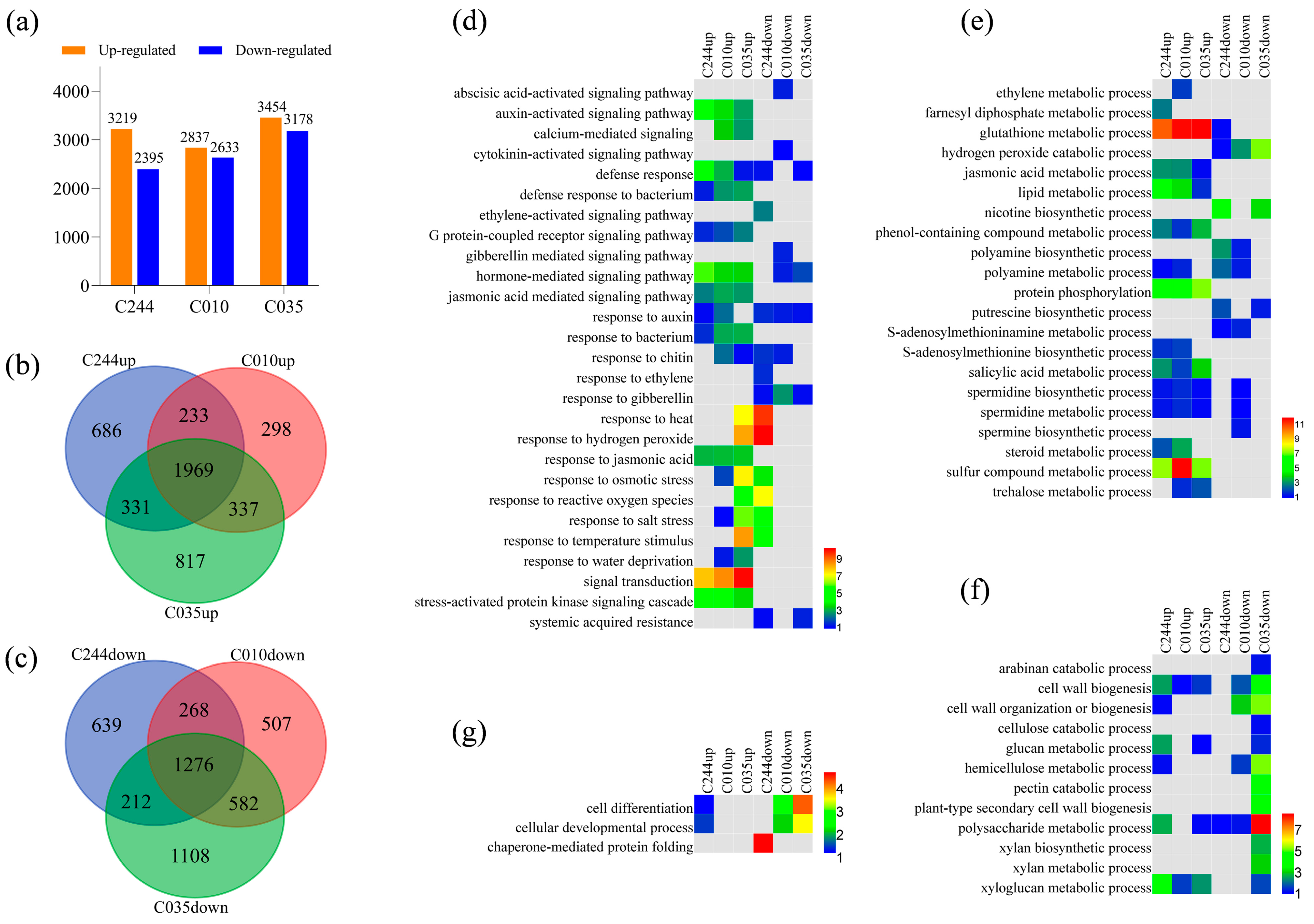 Agronomy 14 00250 g002