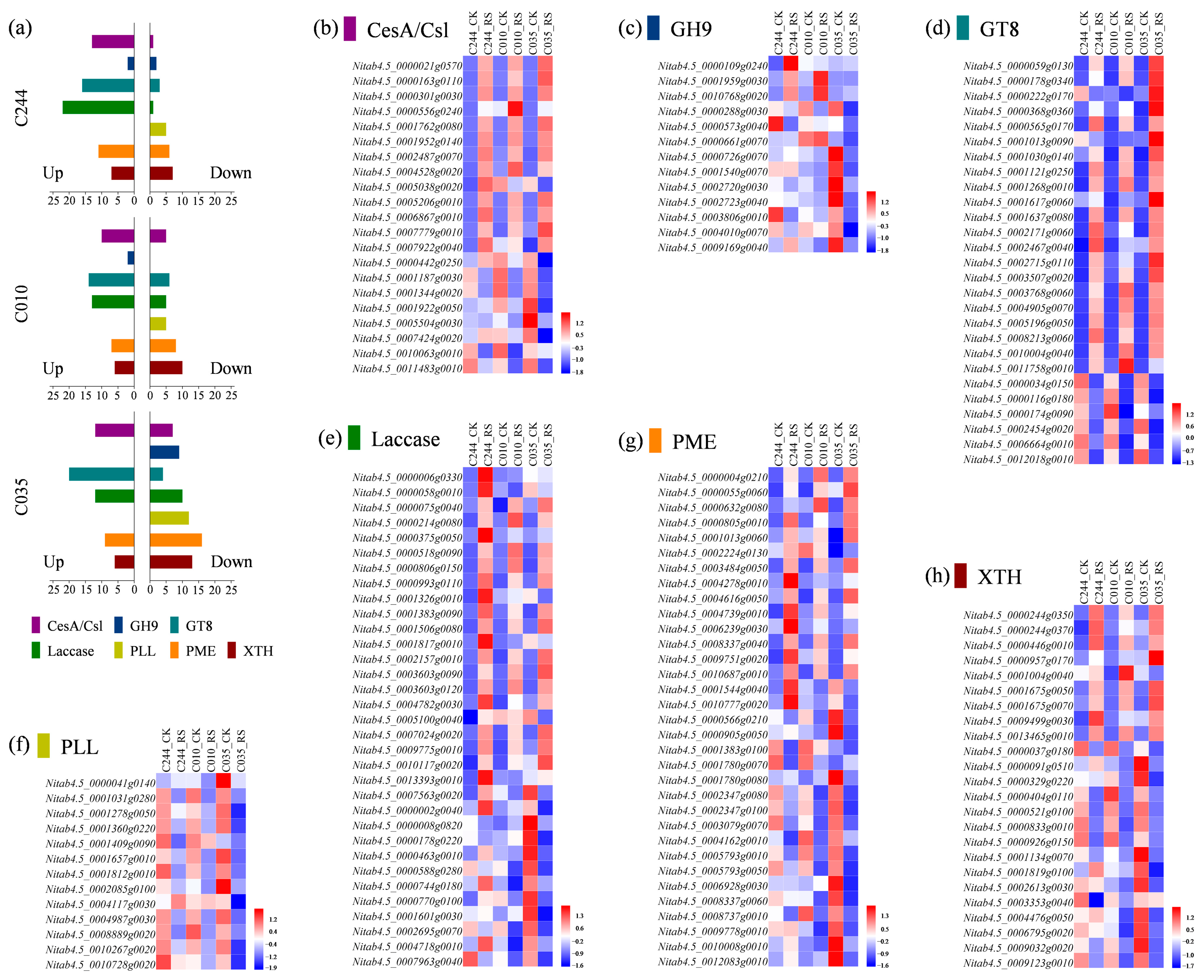 Agronomy 14 00250 g003