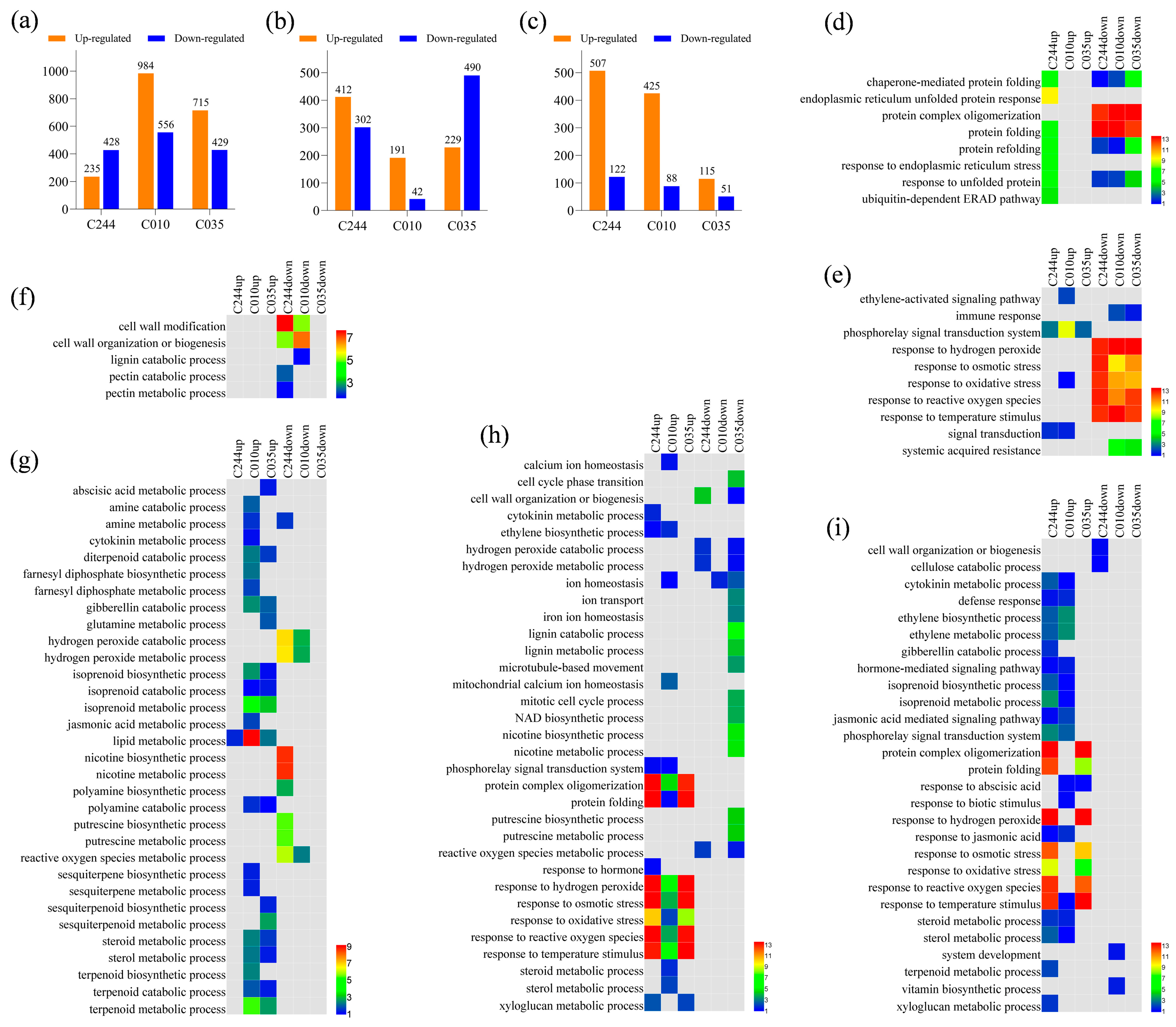 Agronomy 14 00250 g004