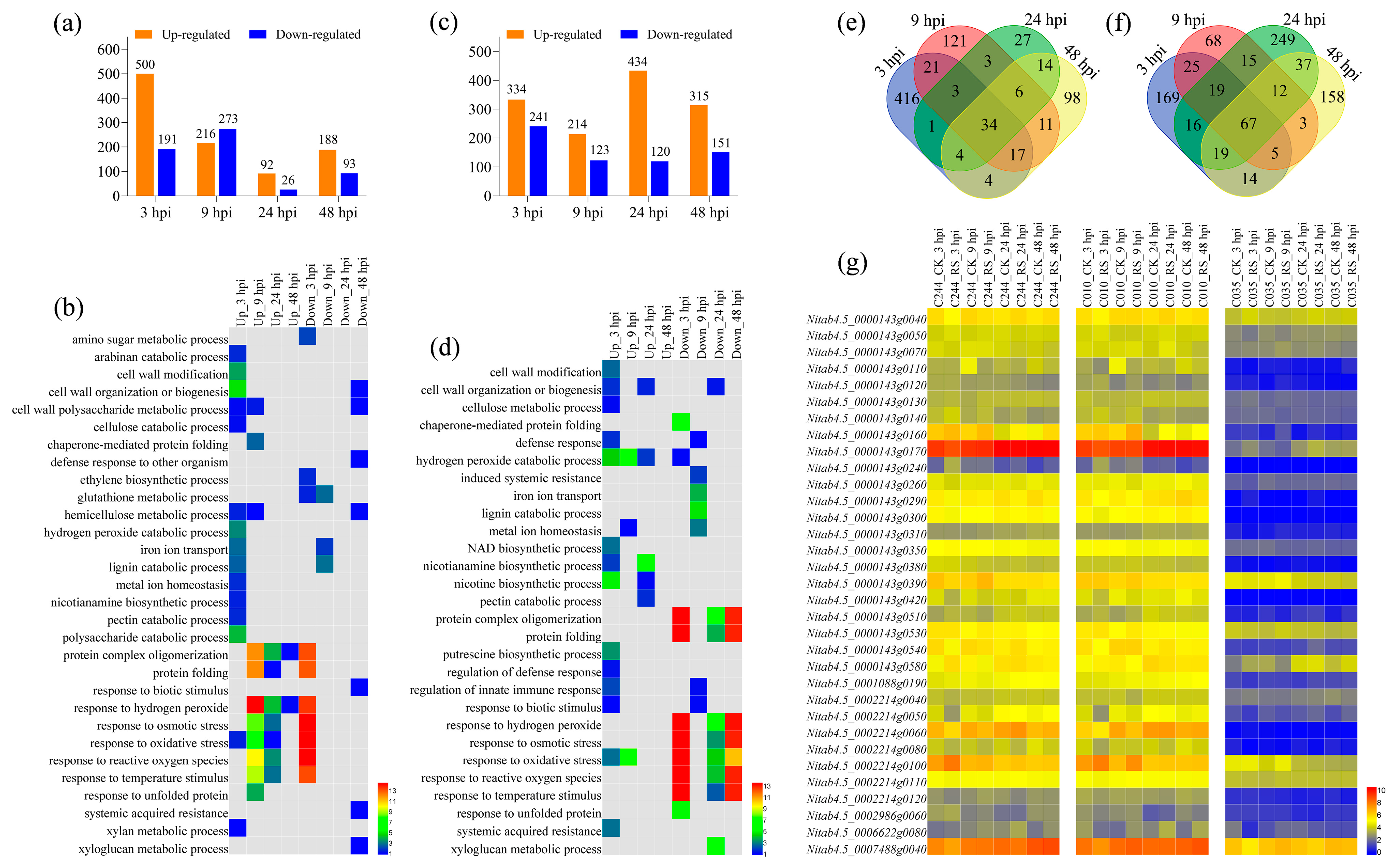 Agronomy 14 00250 g006
