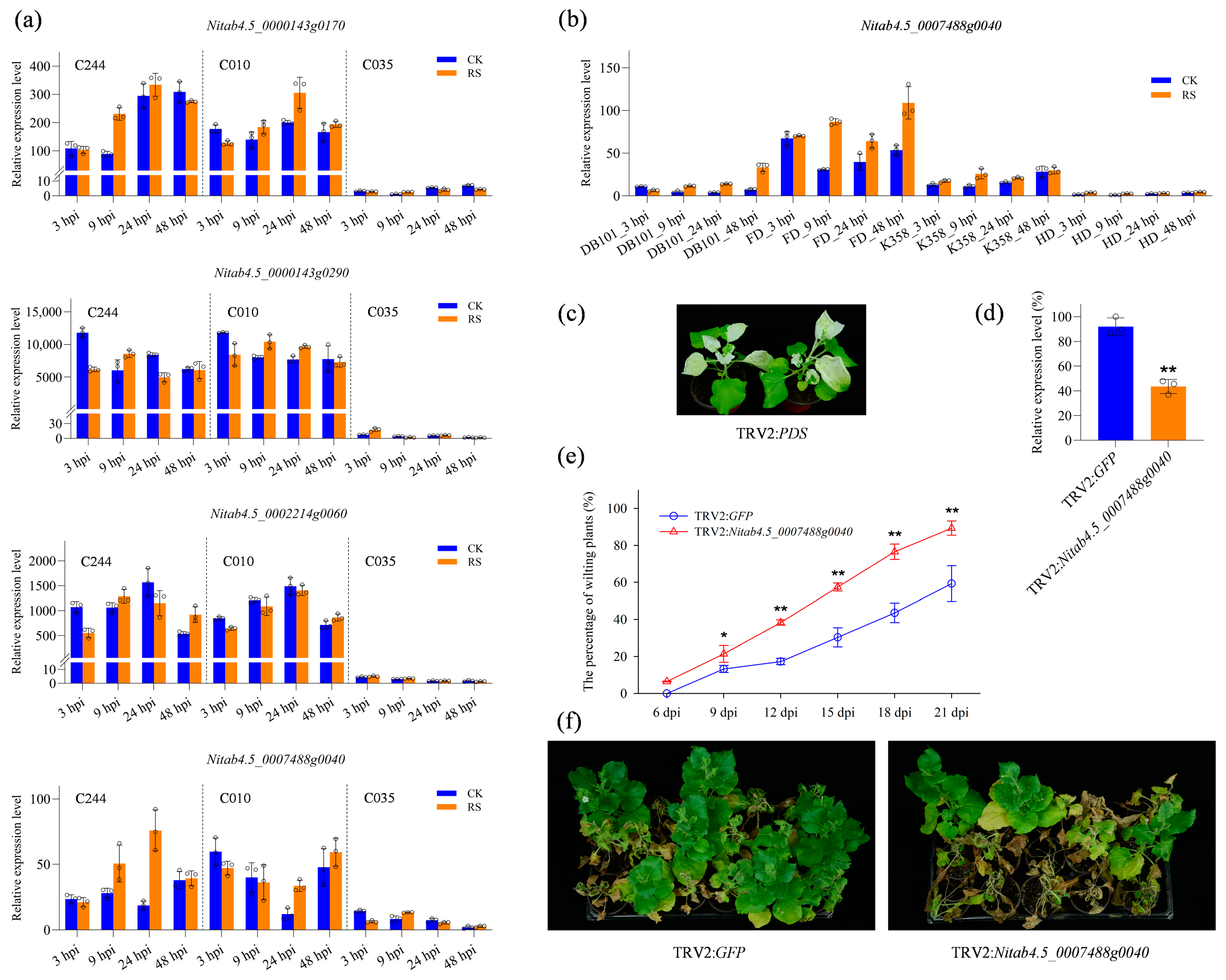 Agronomy 14 00250 g007