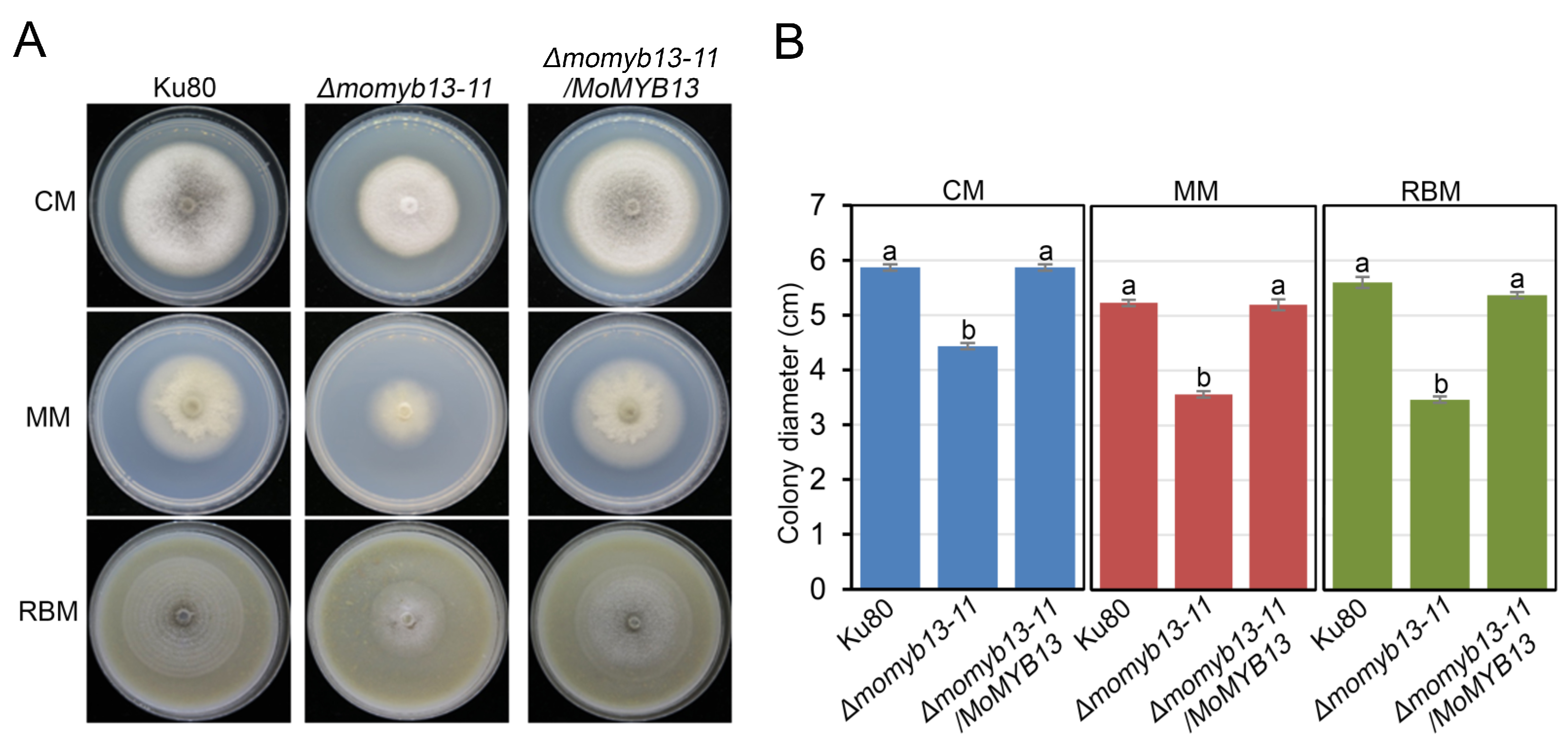 Agronomy 14 00251 g003
