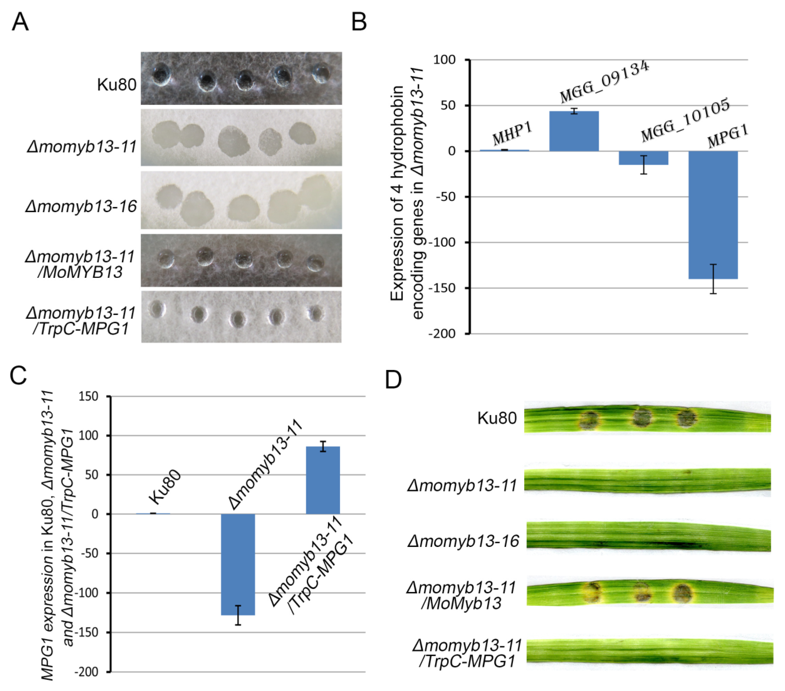 Agronomy 14 00251 g006