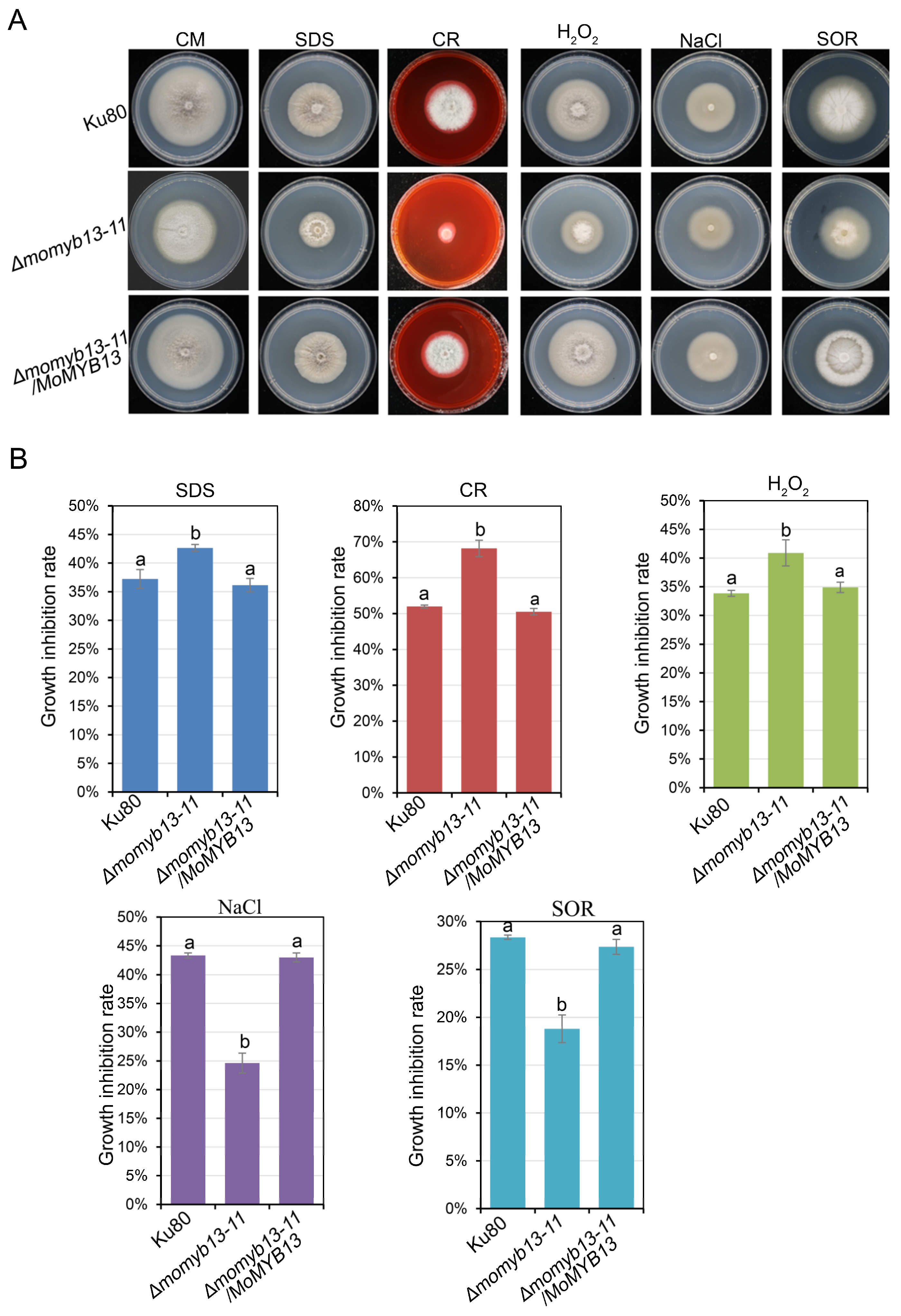 Agronomy 14 00251 g007