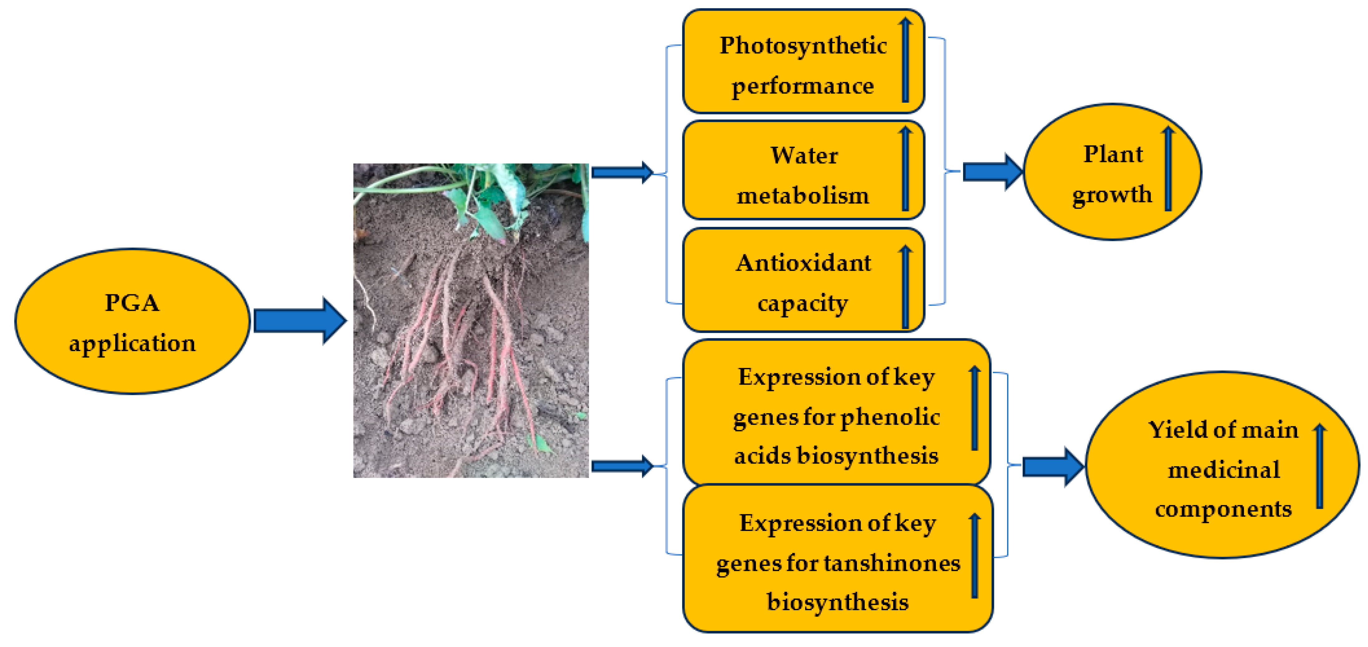 Agronomy 14 00252 g010
