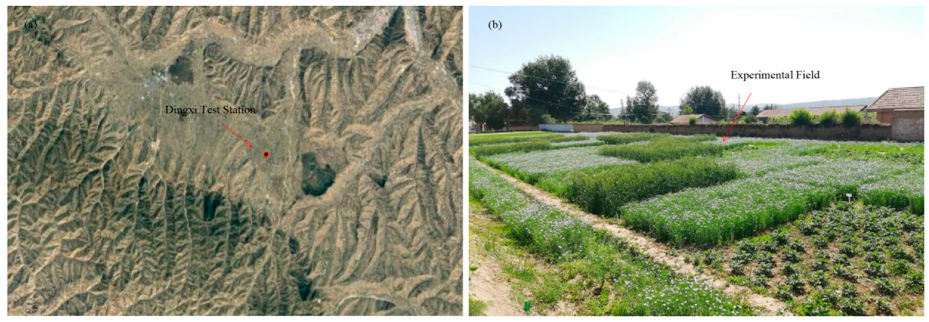 Agronomy 14 00262 g001