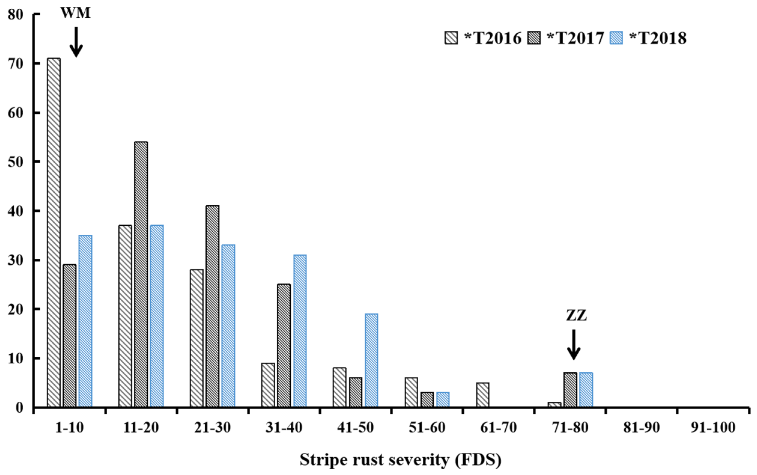 Agronomy 14 00264 g001