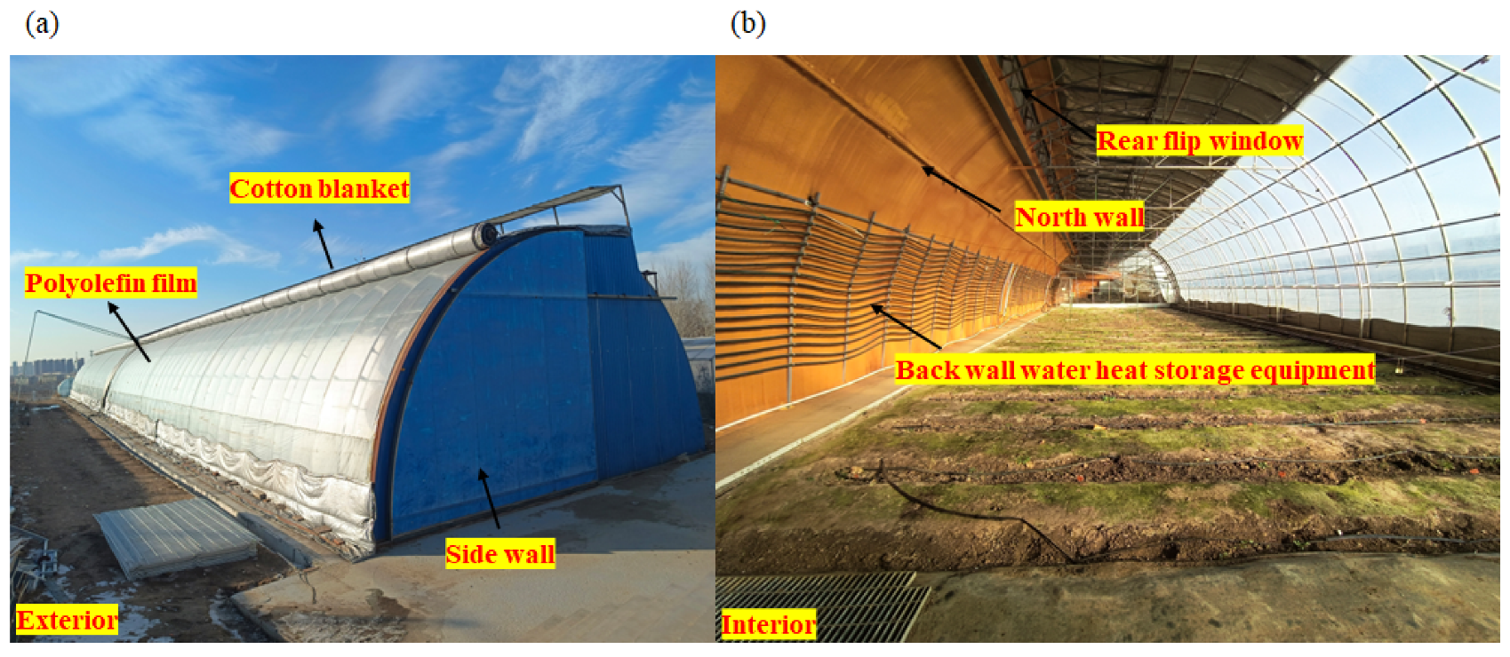 Agronomy 14 00270 g001