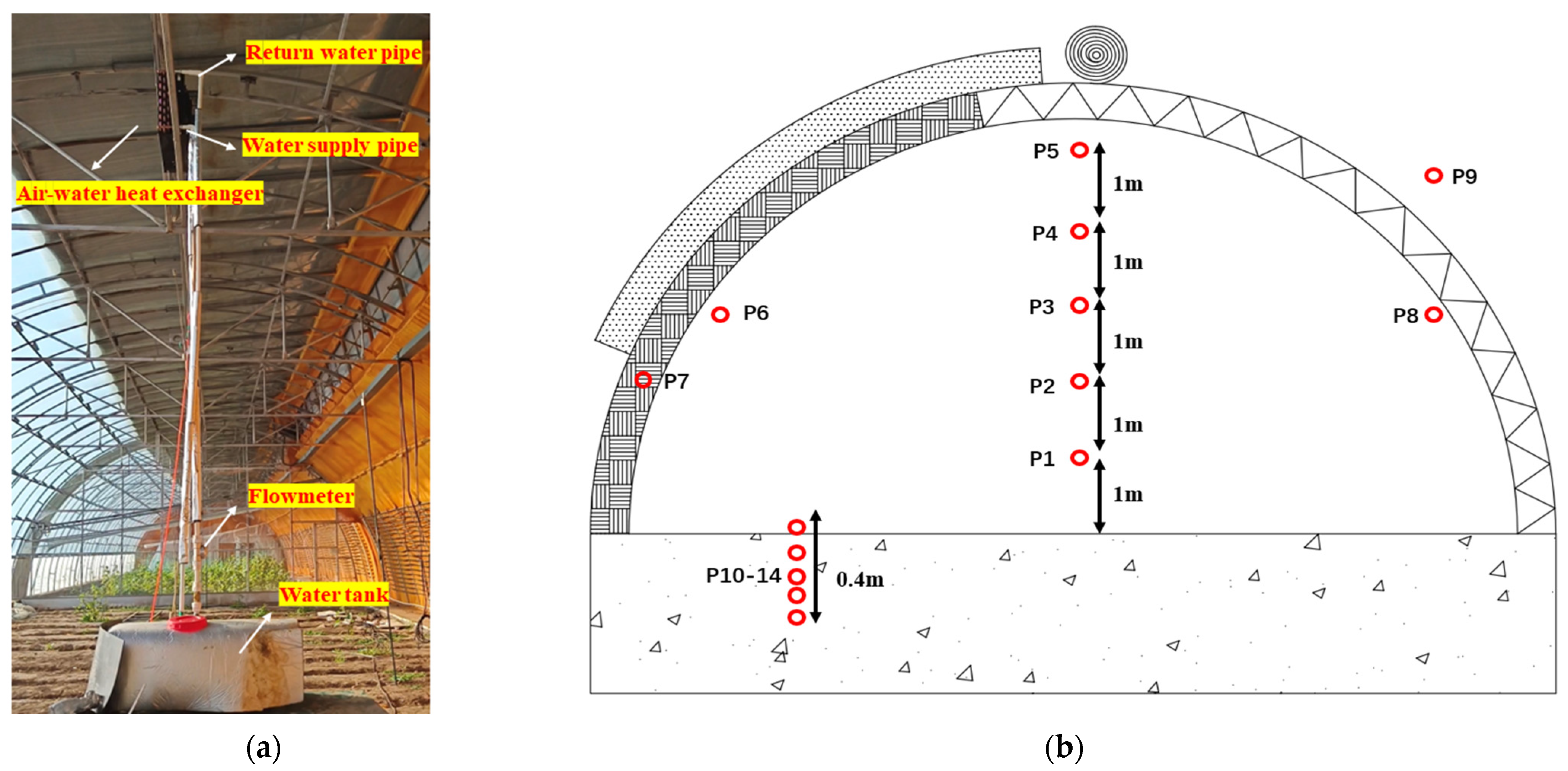 Agronomy 14 00270 g003