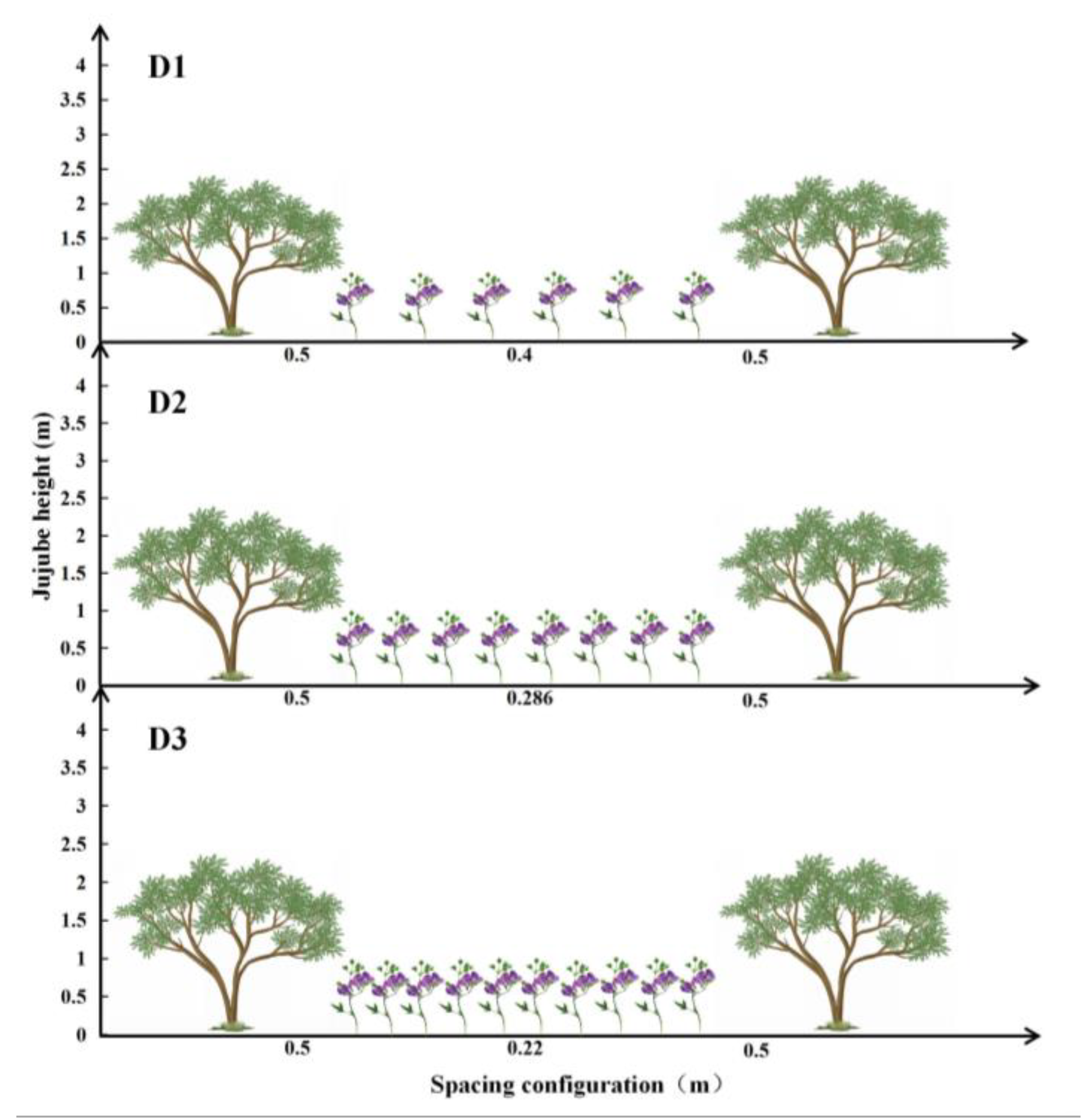 Agronomy 14 00273 g002