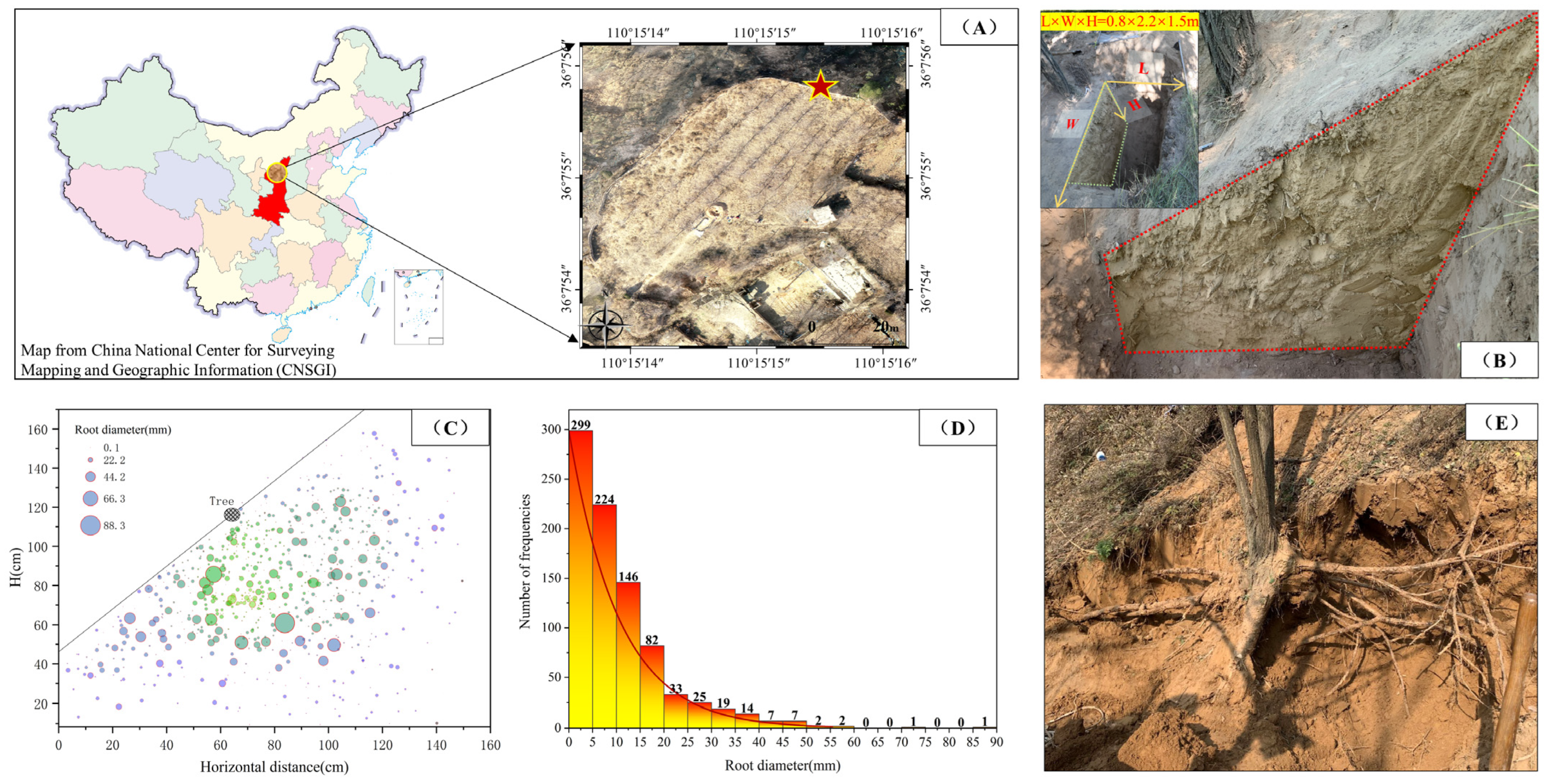 Agronomy 14 00276 g001