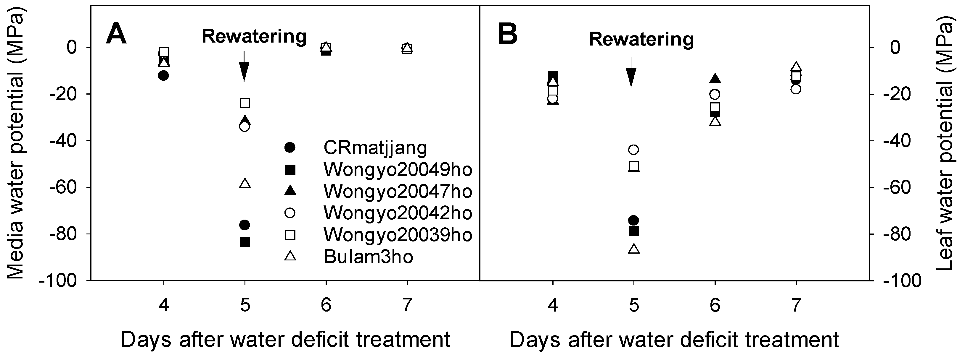 Agronomy 14 00279 g005 Agronomy 14 00279 g005