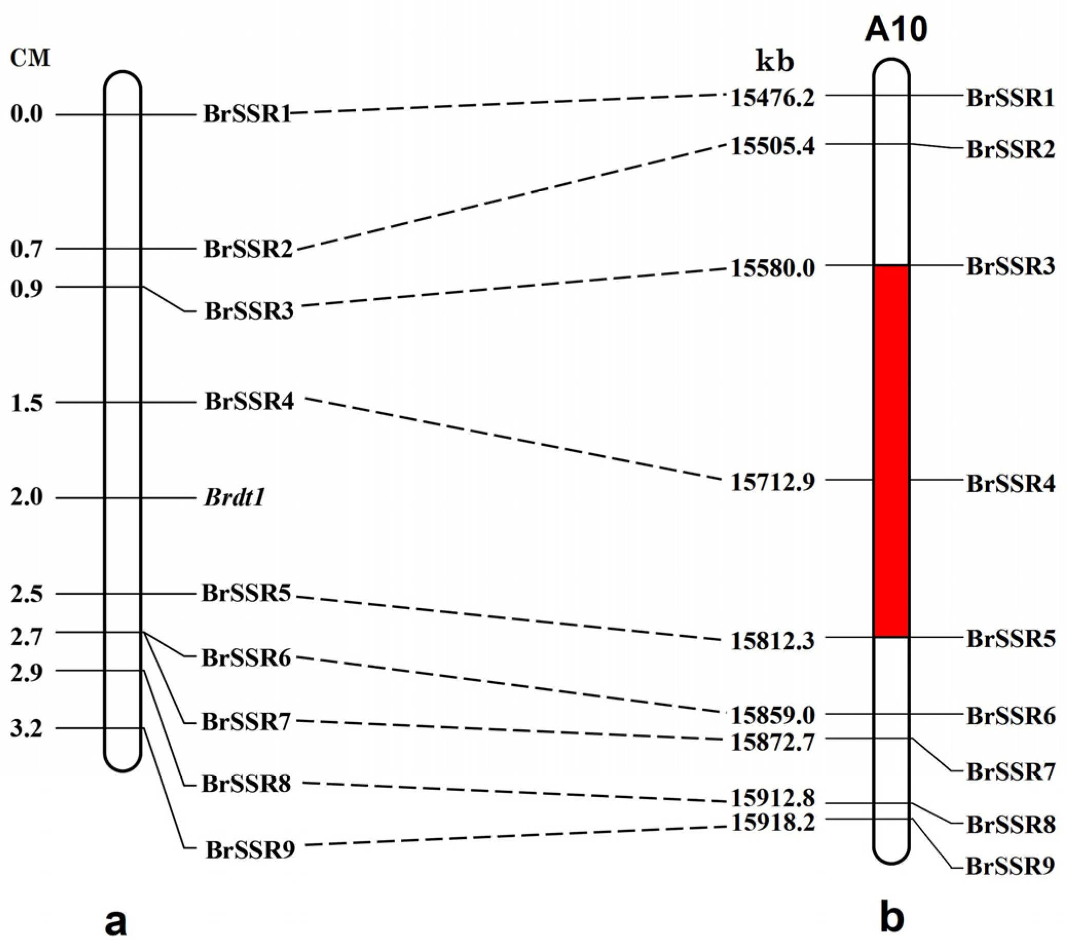 Agronomy 14 00281 g004