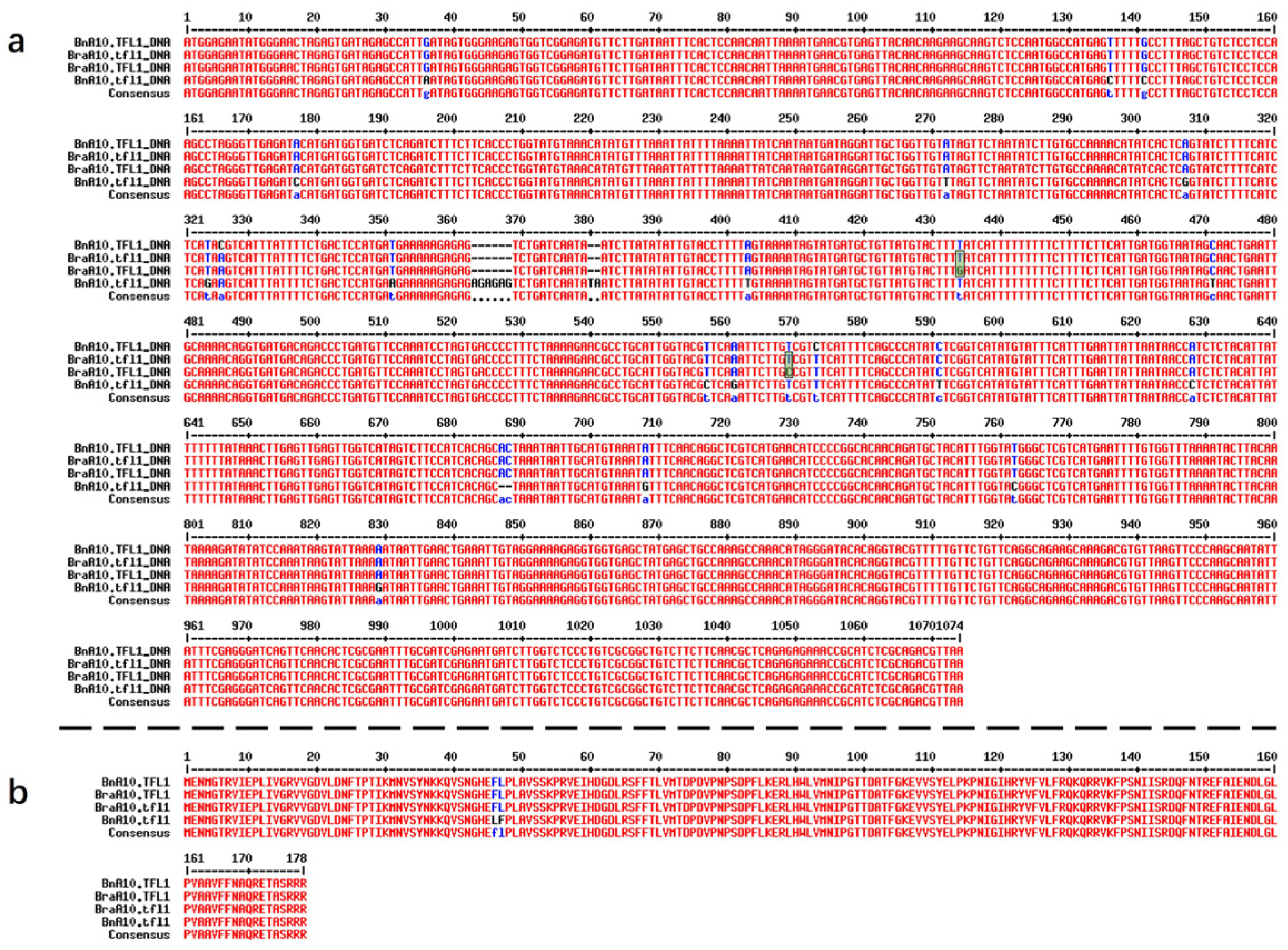 Agronomy 14 00281 g007