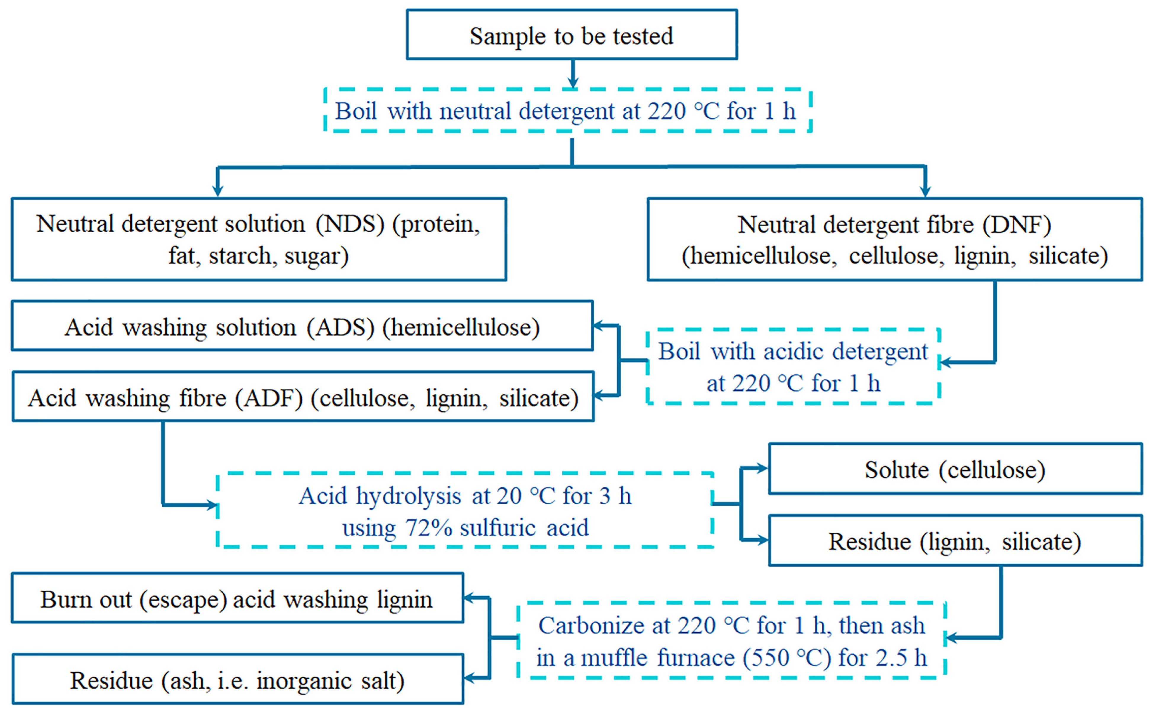 Agronomy 14 00290 g001