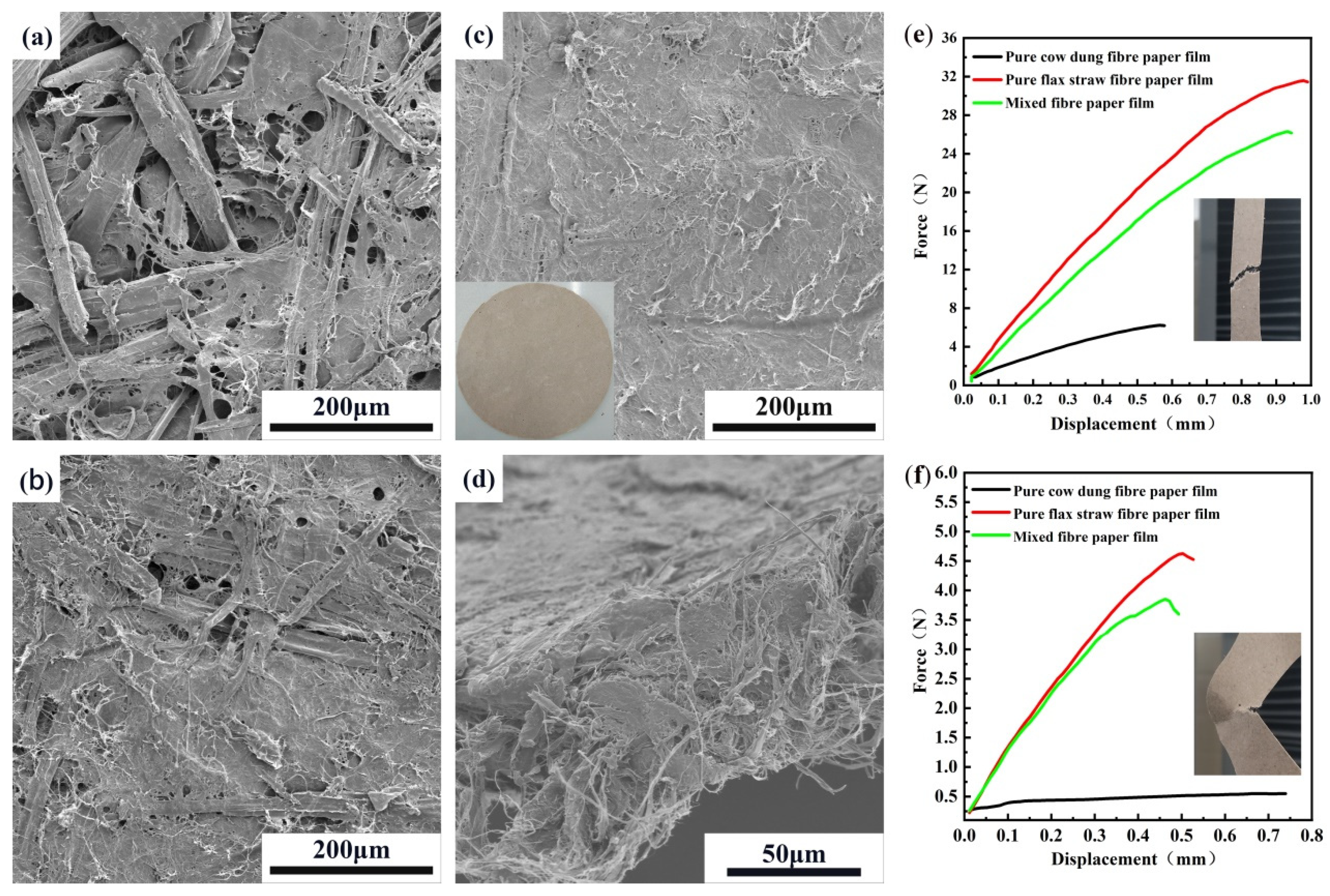 Agronomy 14 00290 g005