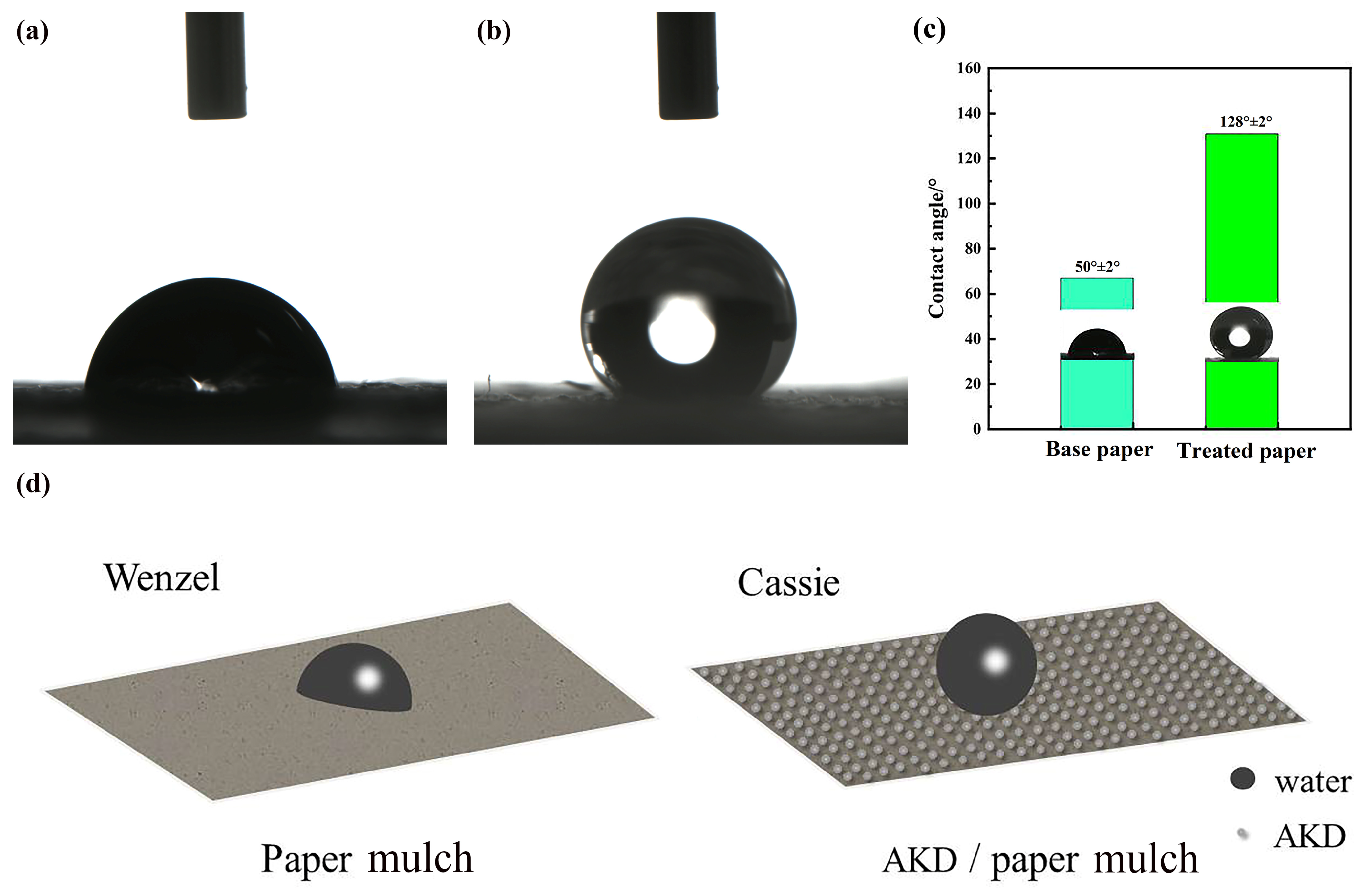 Agronomy 14 00290 g006
