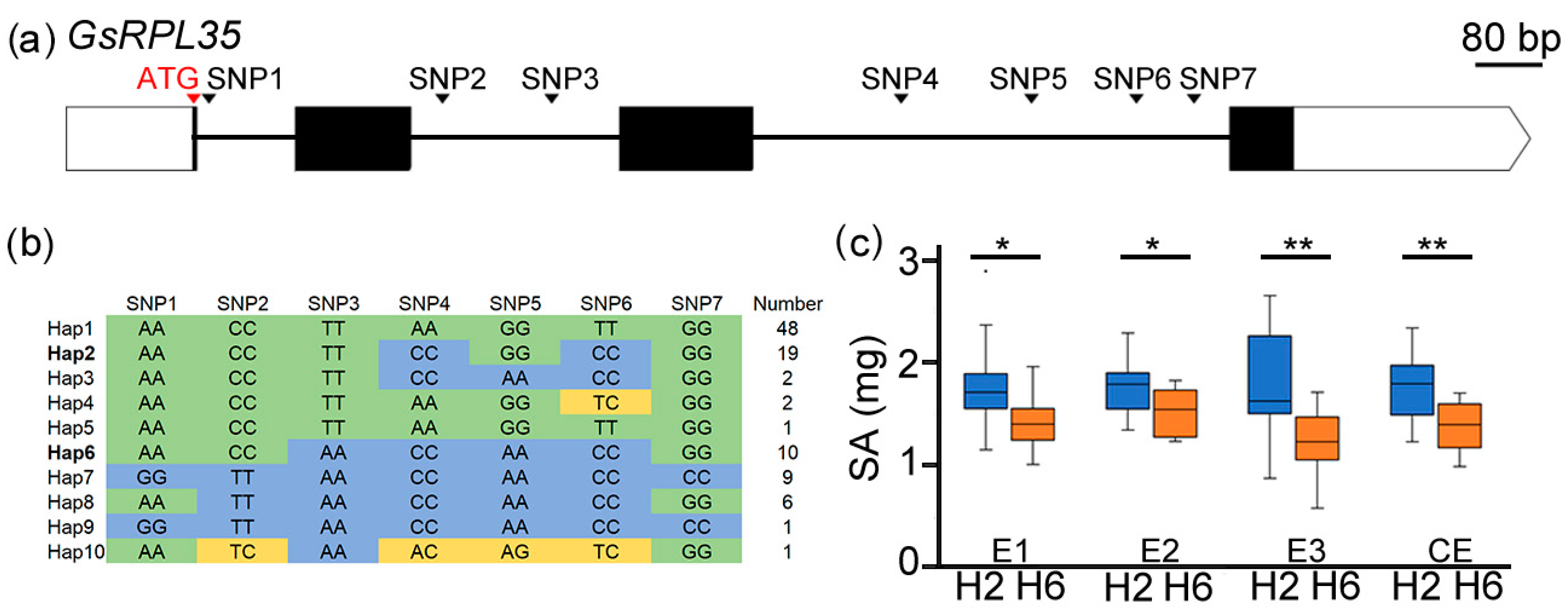 Agronomy 14 00292 g004
