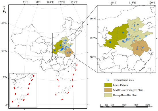 Effects of Drought Stress and Postdrought Rewatering on