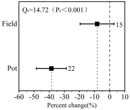Effects of Drought Stress and Postdrought Rewatering on