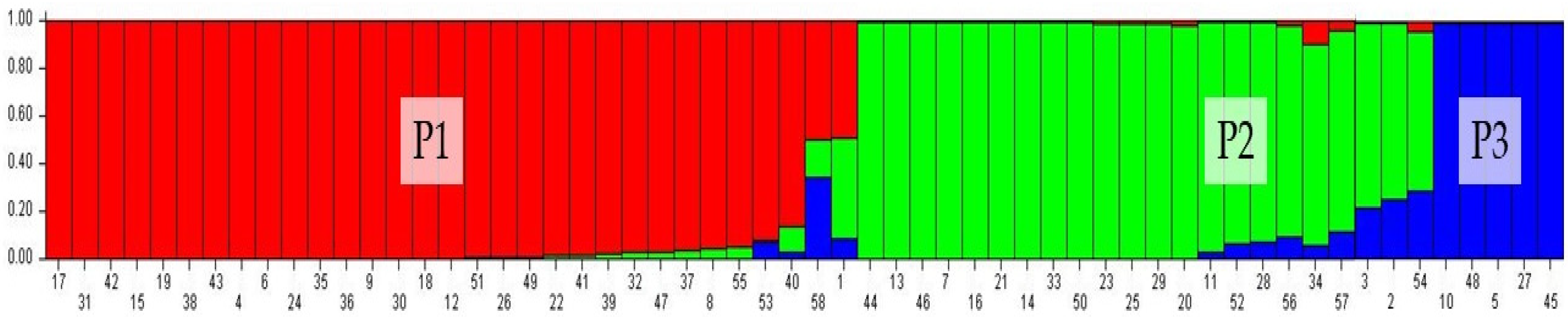 Agronomy 14 00300 g006